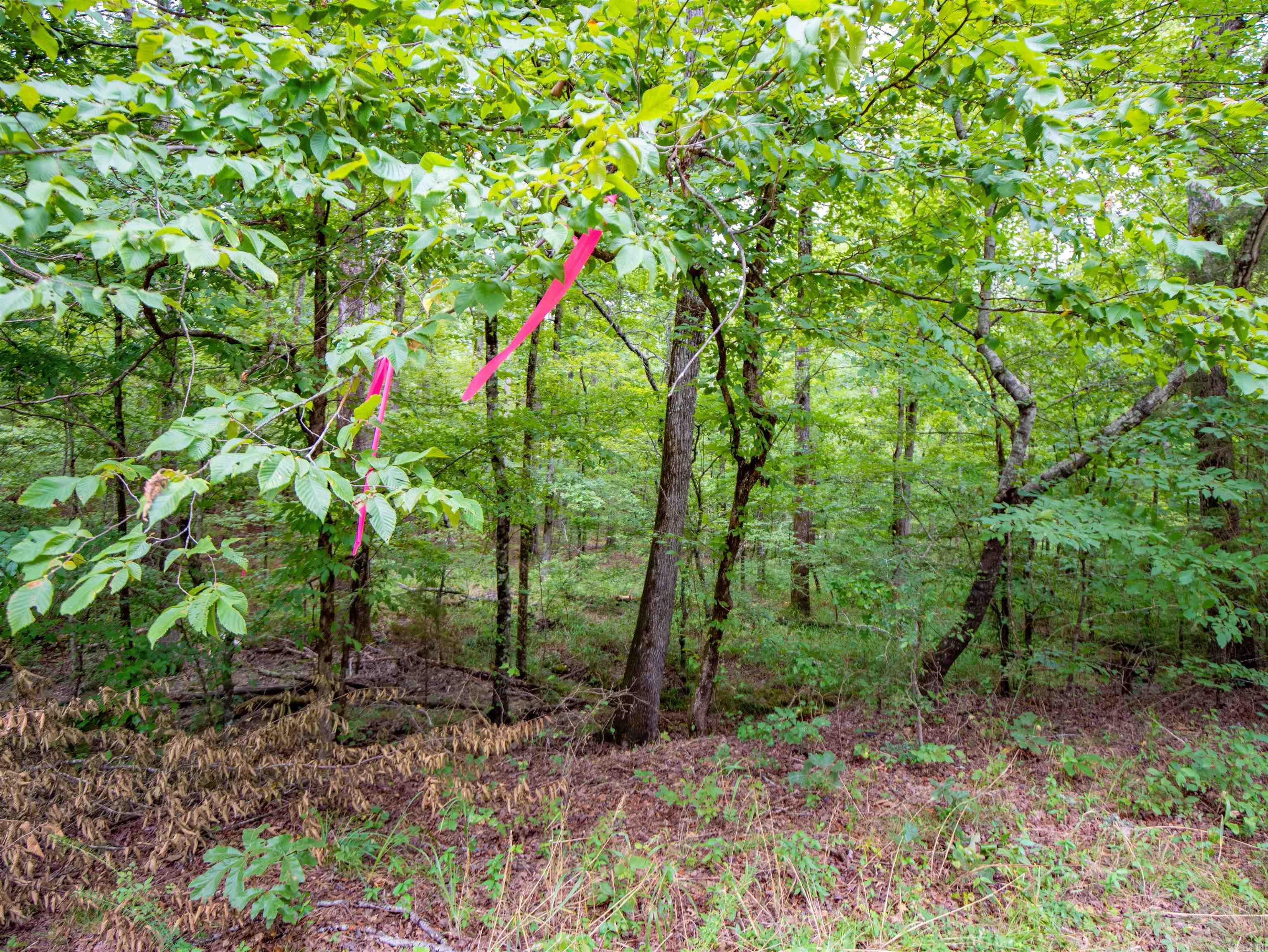 1 Camino  Hot Springs Village, AR