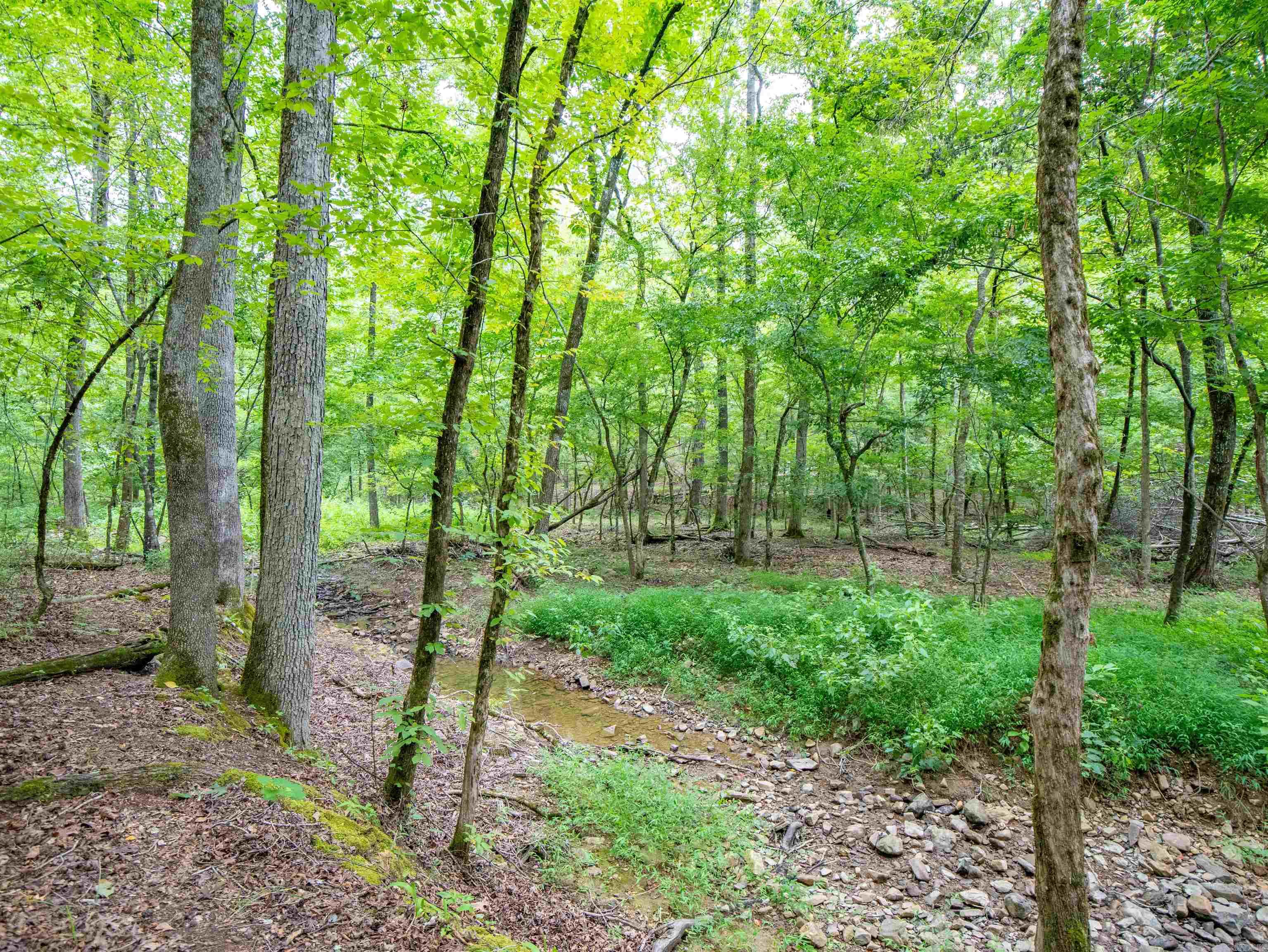 1 Camino  Hot Springs Village, AR