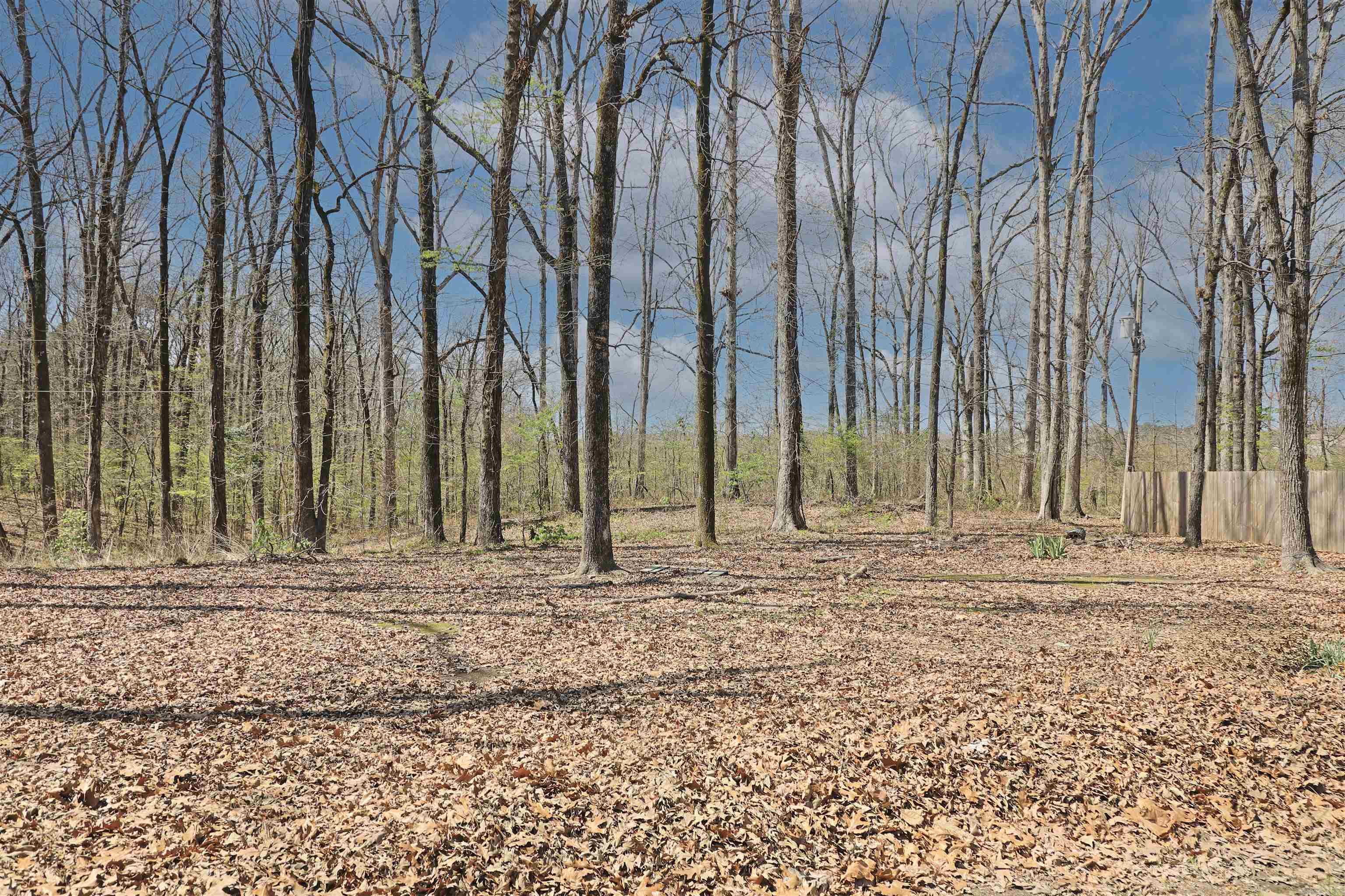 1100 Blue Acres  White Hall, AR