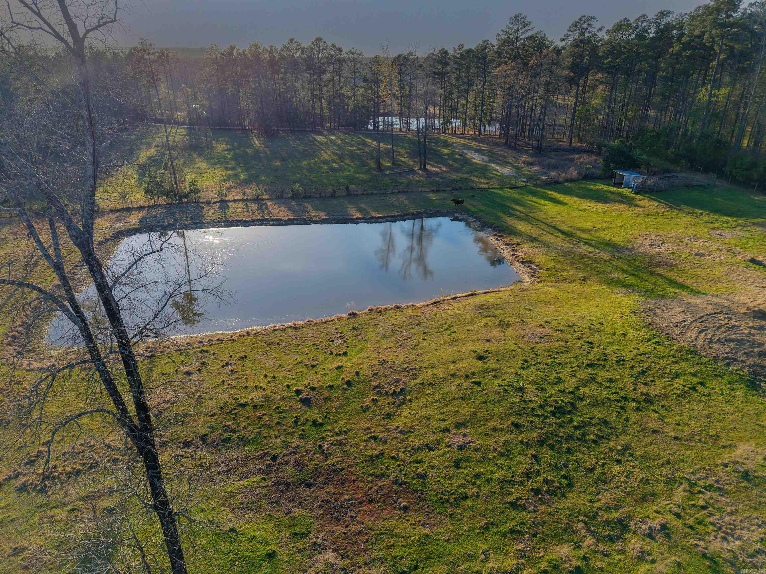 000 Brown Cemetery Road  Pine Bluff, AR