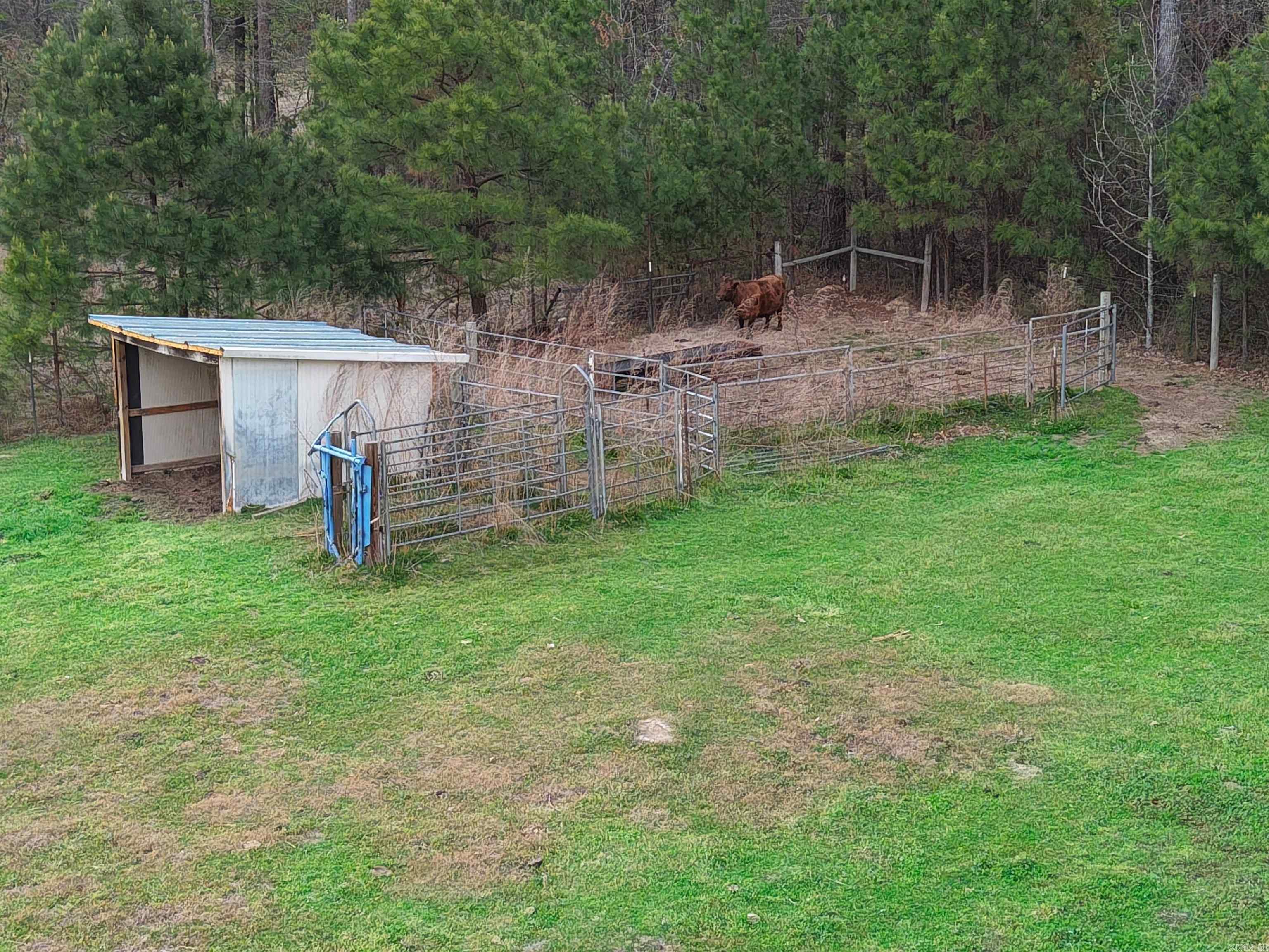 000 Brown Cemetery Road  Pine Bluff, AR
