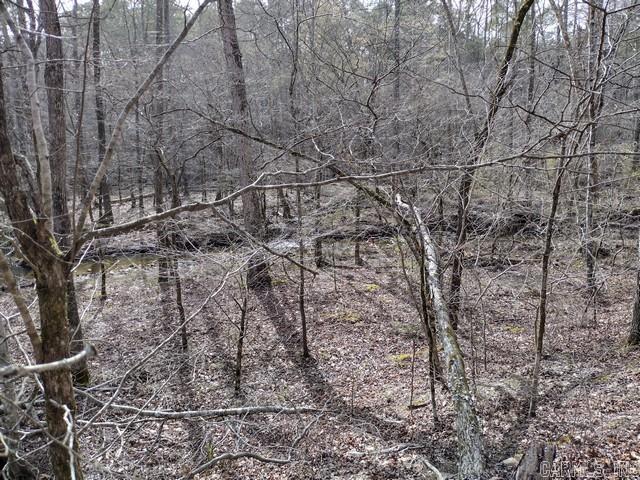 43 Mano  Hot Springs Village, AR