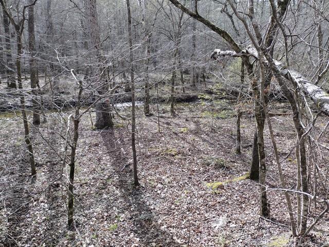 43 Mano  Hot Springs Village, AR