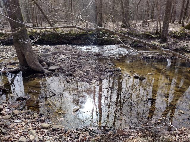 43 Mano  Hot Springs Village, AR