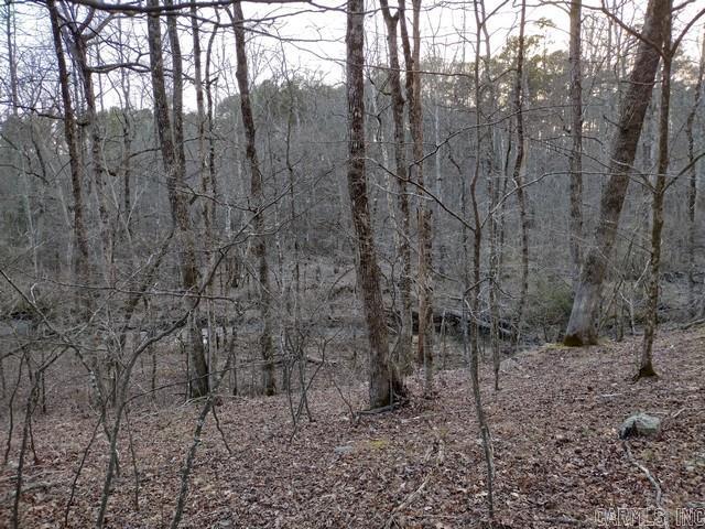 43 Mano  Hot Springs Village, AR