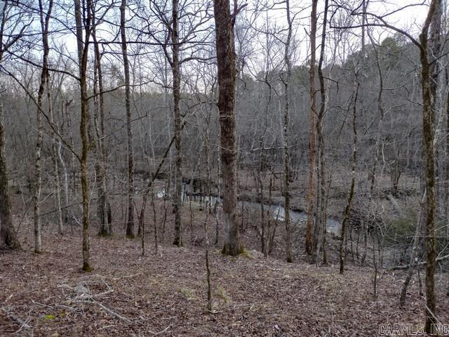 43 Mano  Hot Springs Village, AR