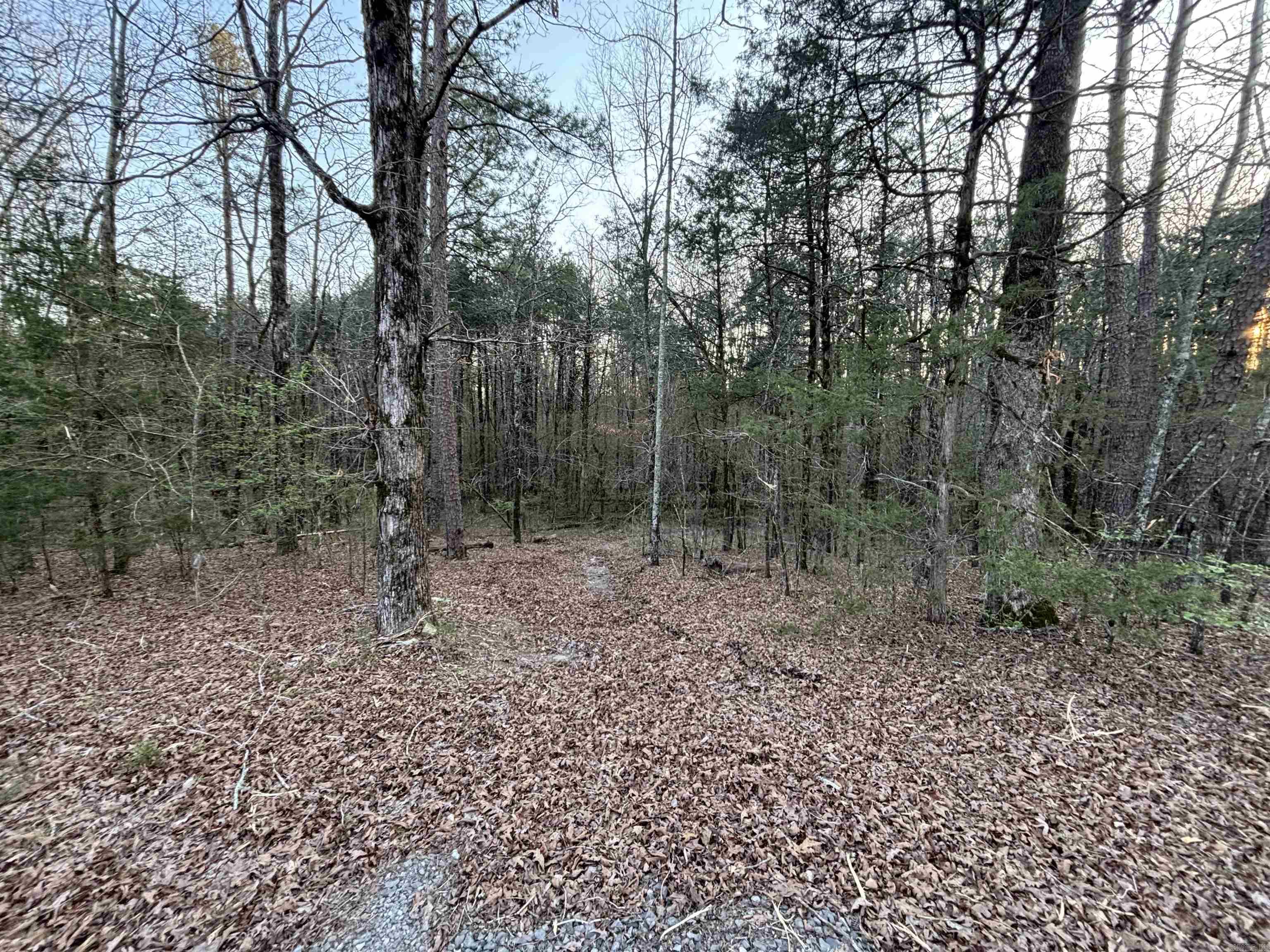 00 Countryside Dr  Quitman, AR