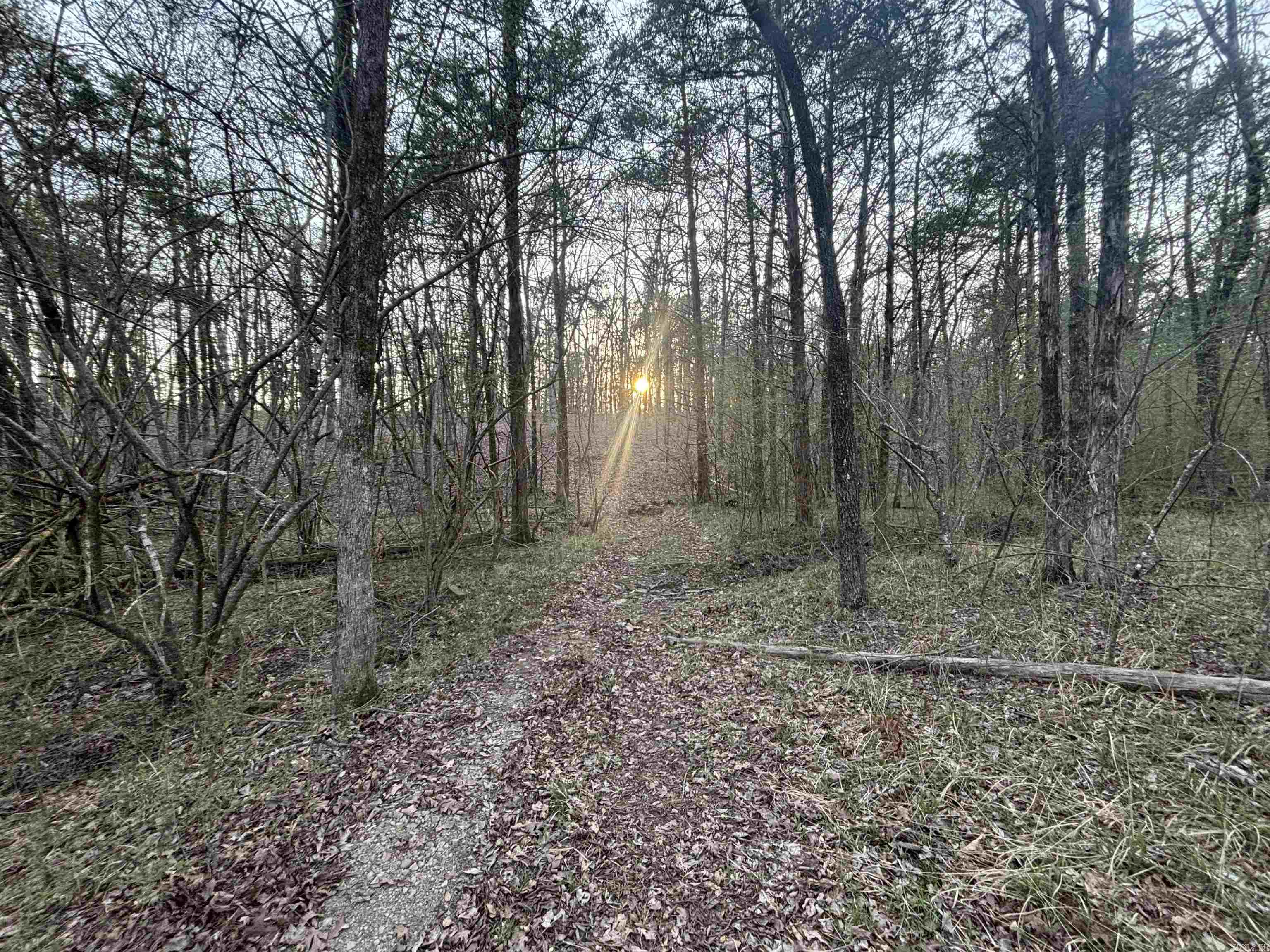 00 Countryside Dr  Quitman, AR