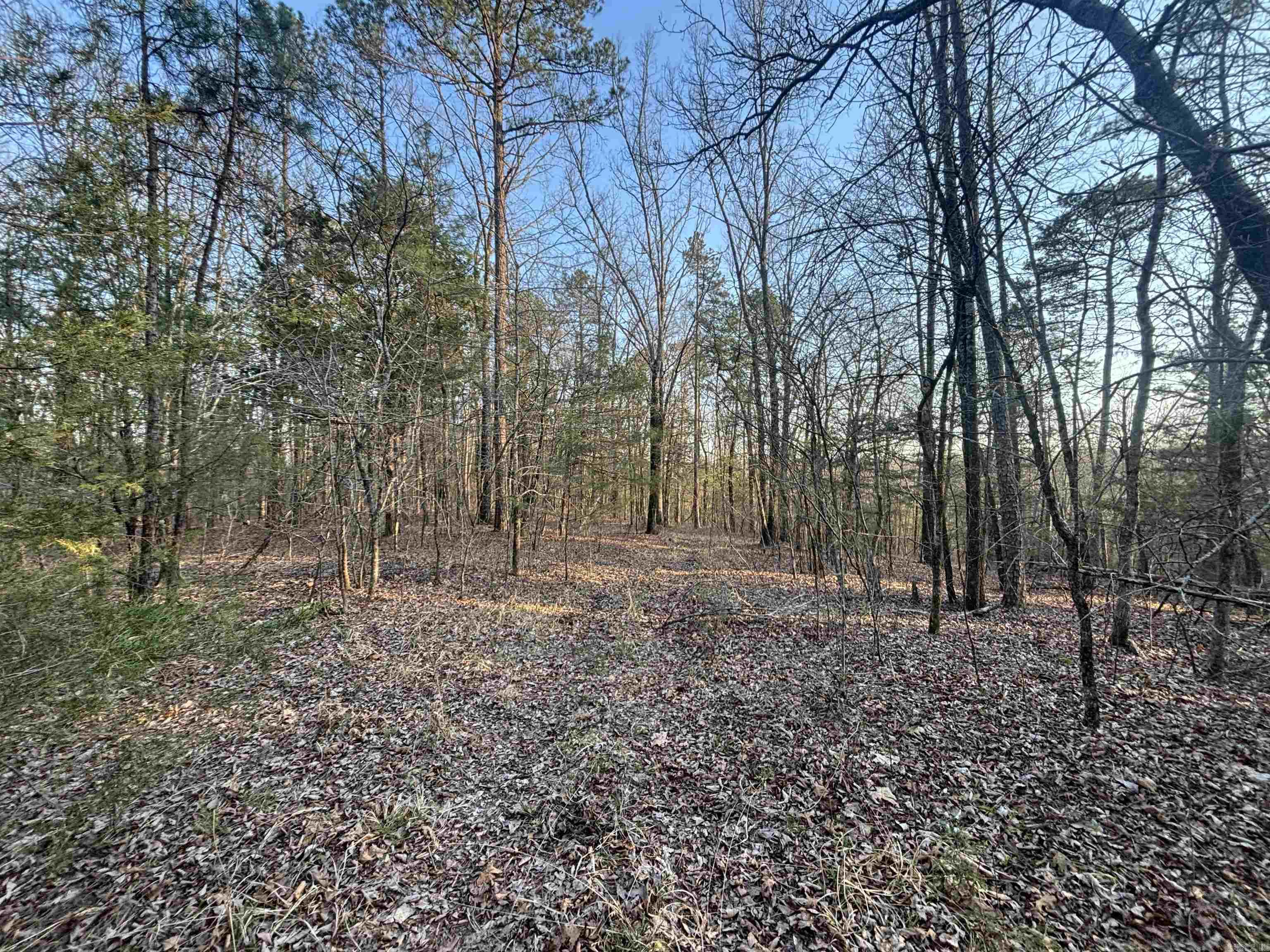 00 Countryside Dr  Quitman, AR