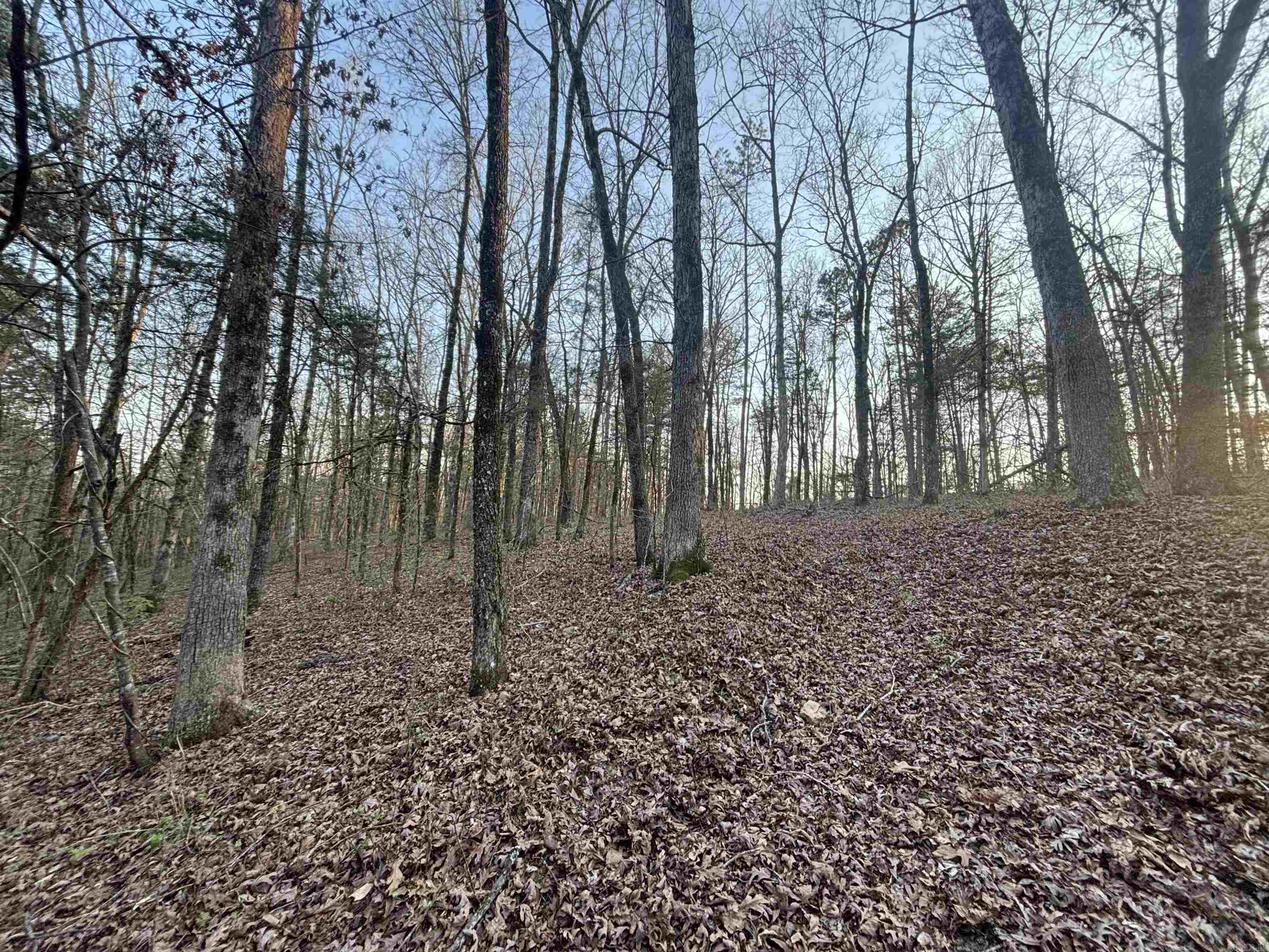 00 Countryside Dr  Quitman, AR