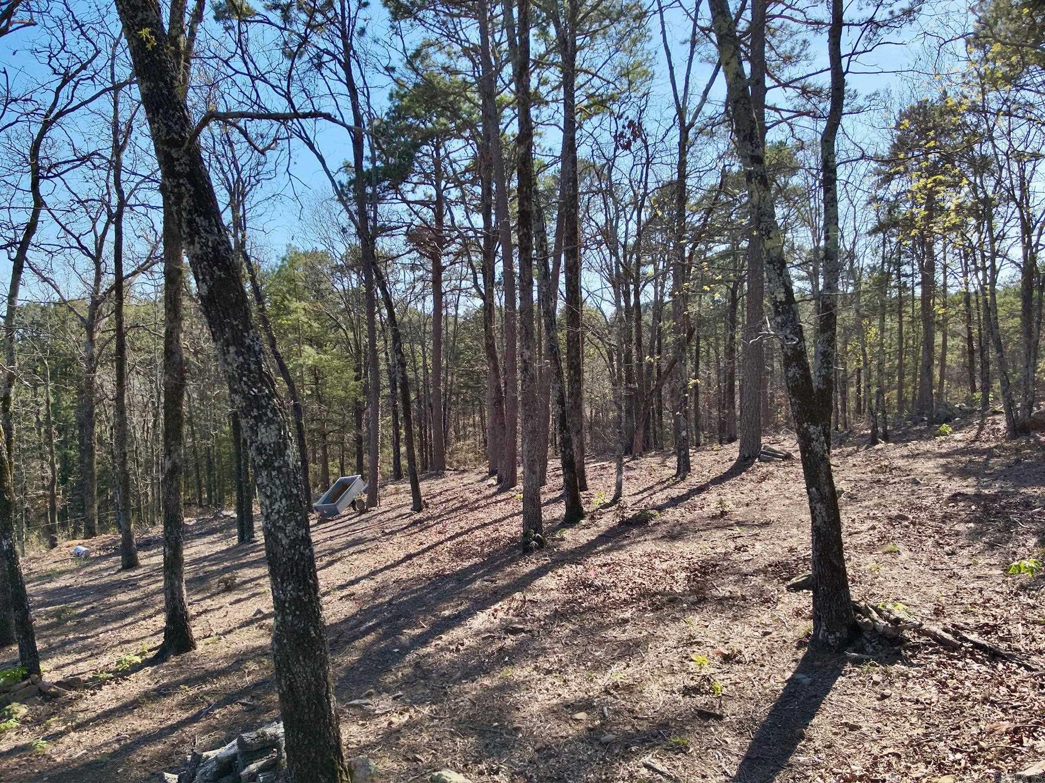 133 Sunrise  Fairfield Bay, AR