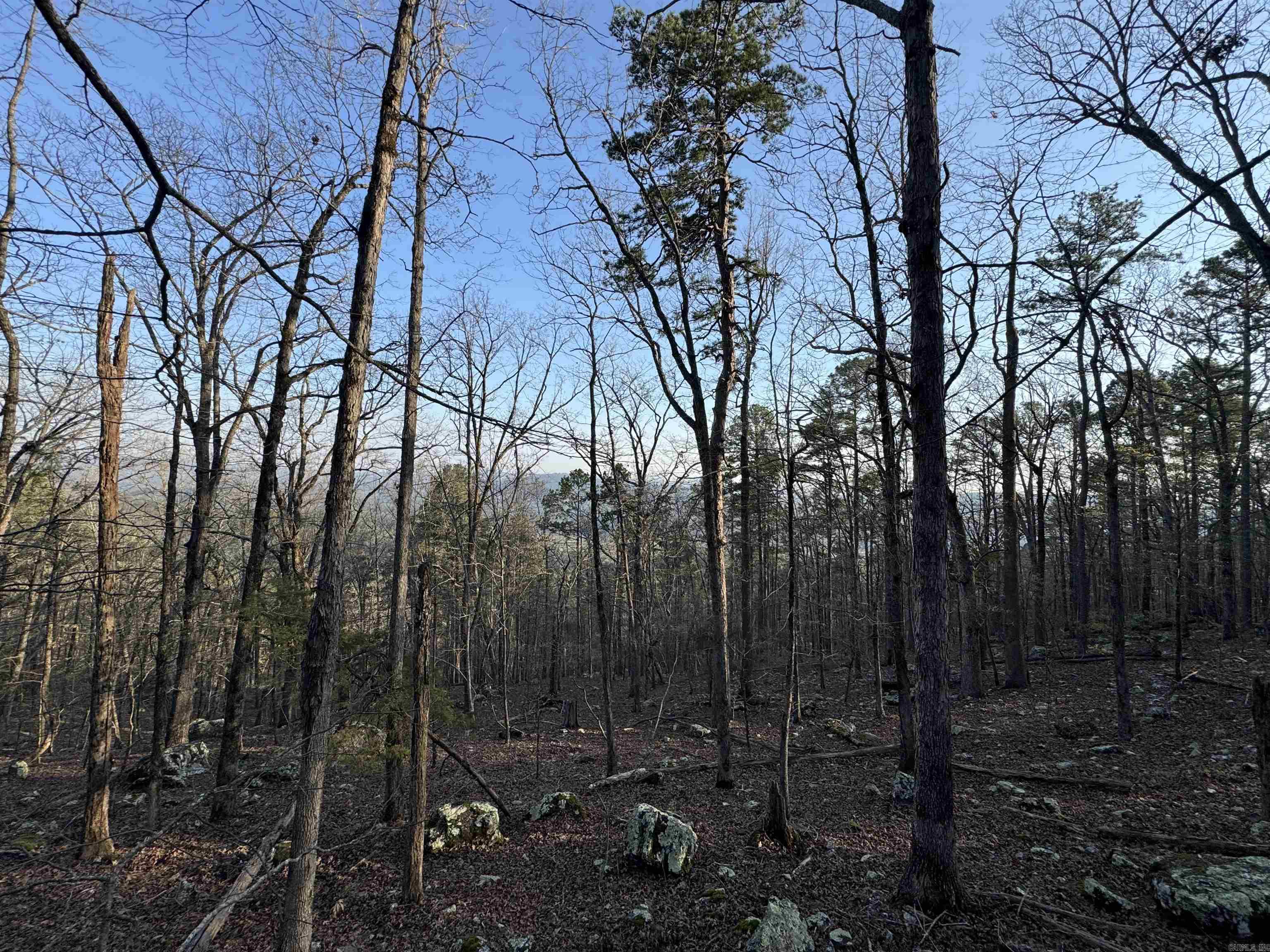 71 Jarandilla  Hot Springs Village, AR