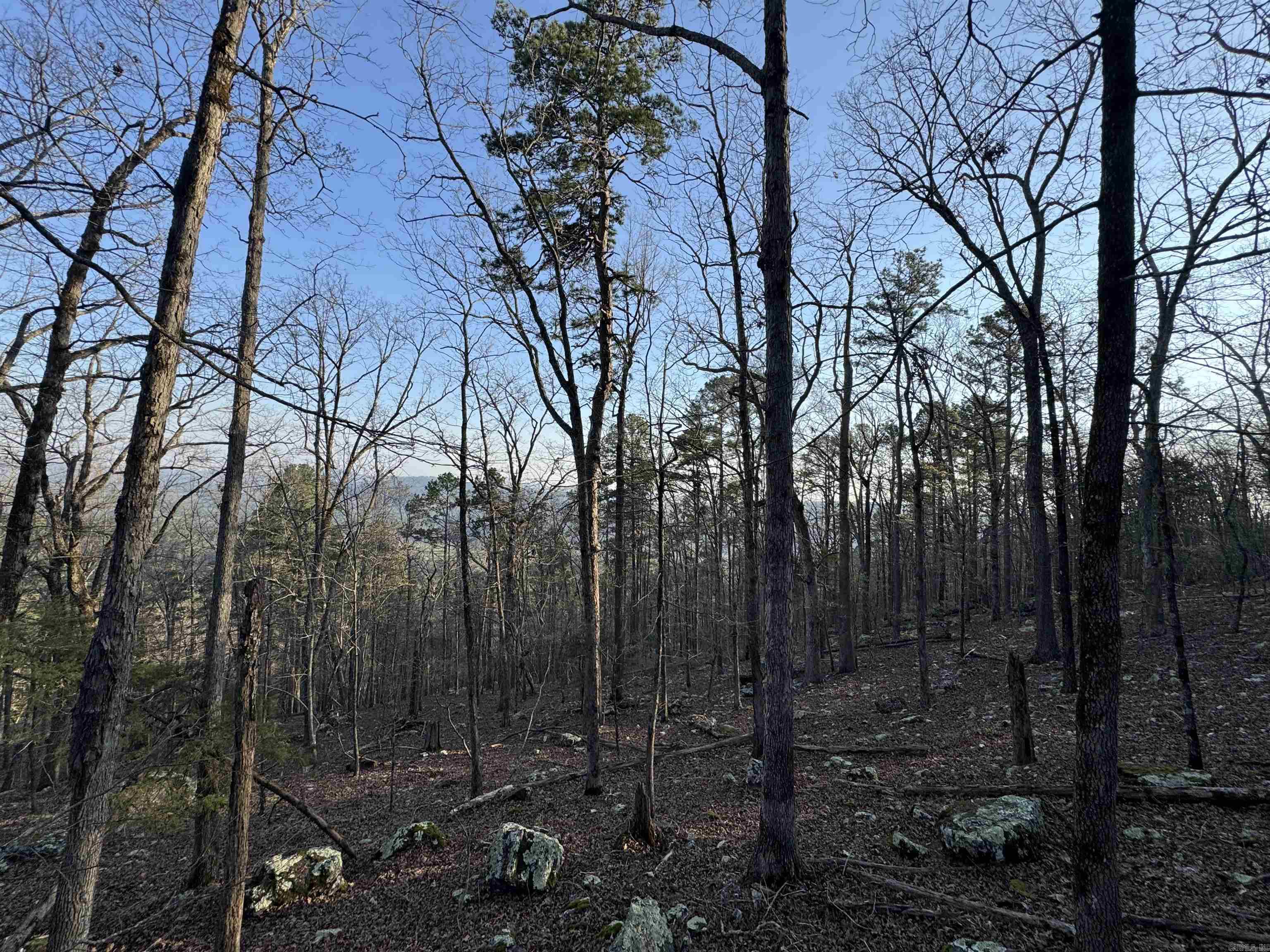 71 Jarandilla  Hot Springs Village, AR