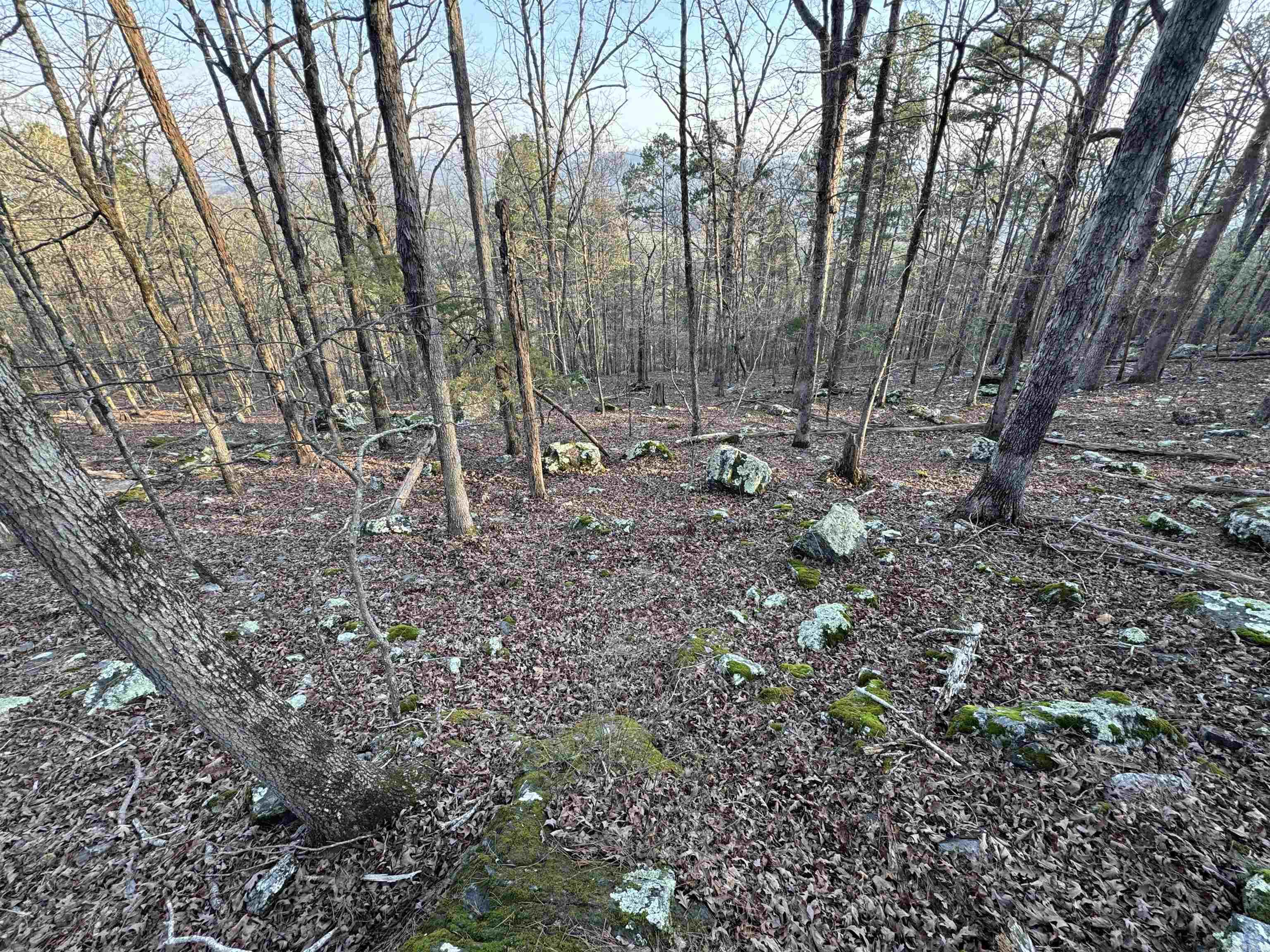 71 Jarandilla  Hot Springs Village, AR