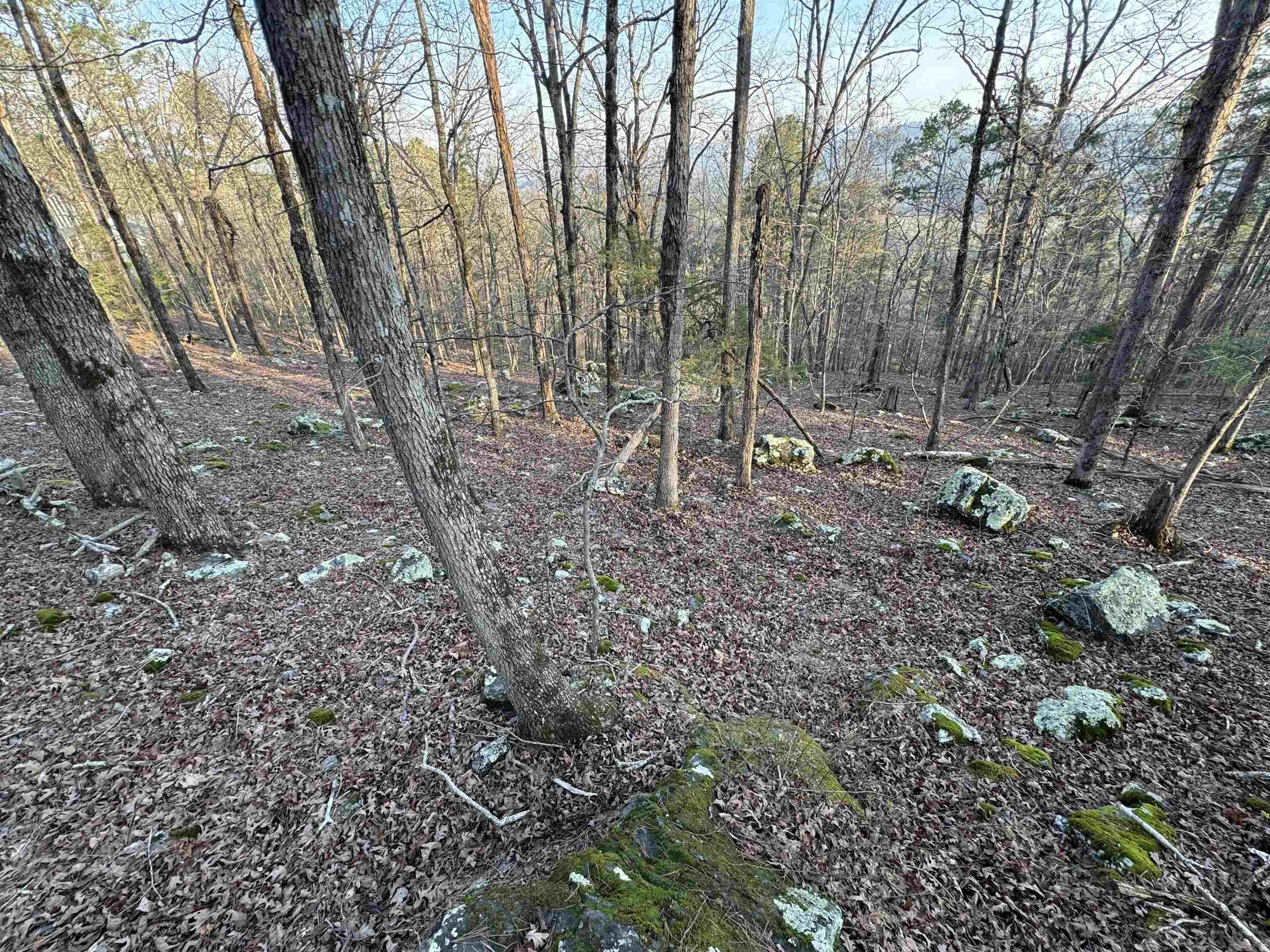 71 Jarandilla  Hot Springs Village, AR