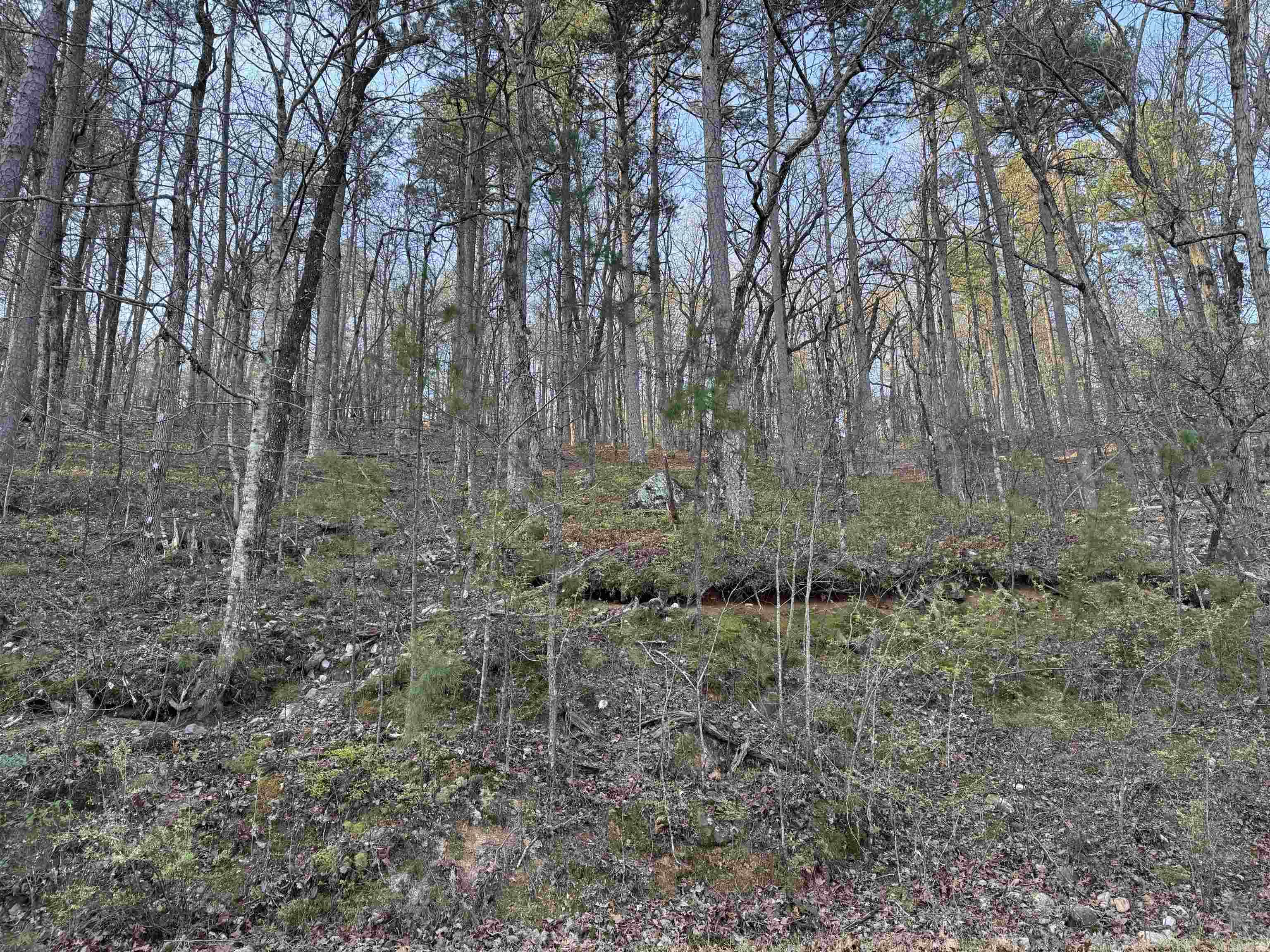 71 Jarandilla  Hot Springs Village, AR