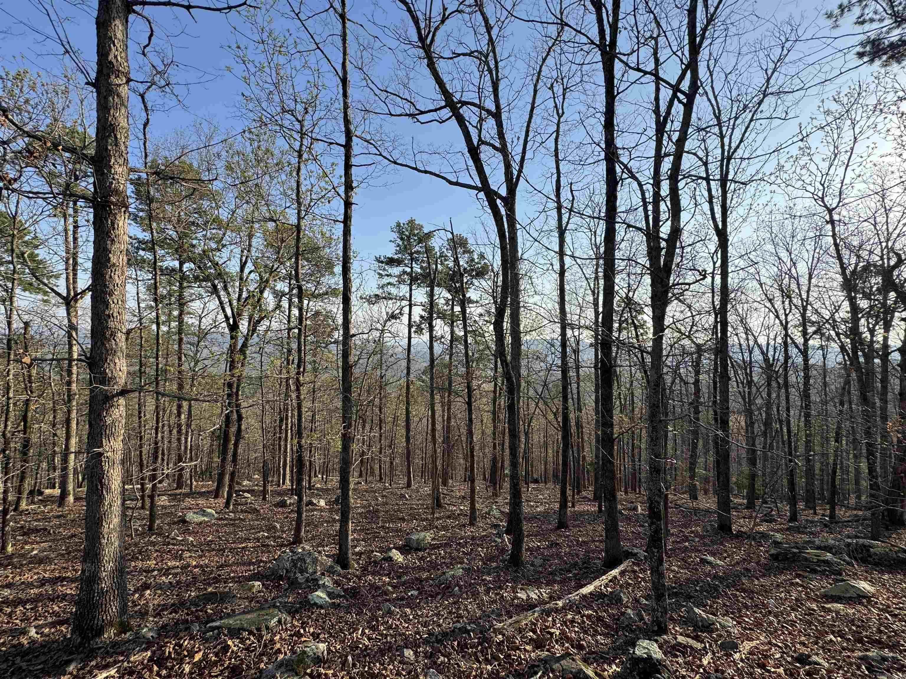 87 Jarandilla  Hot Springs Village, AR