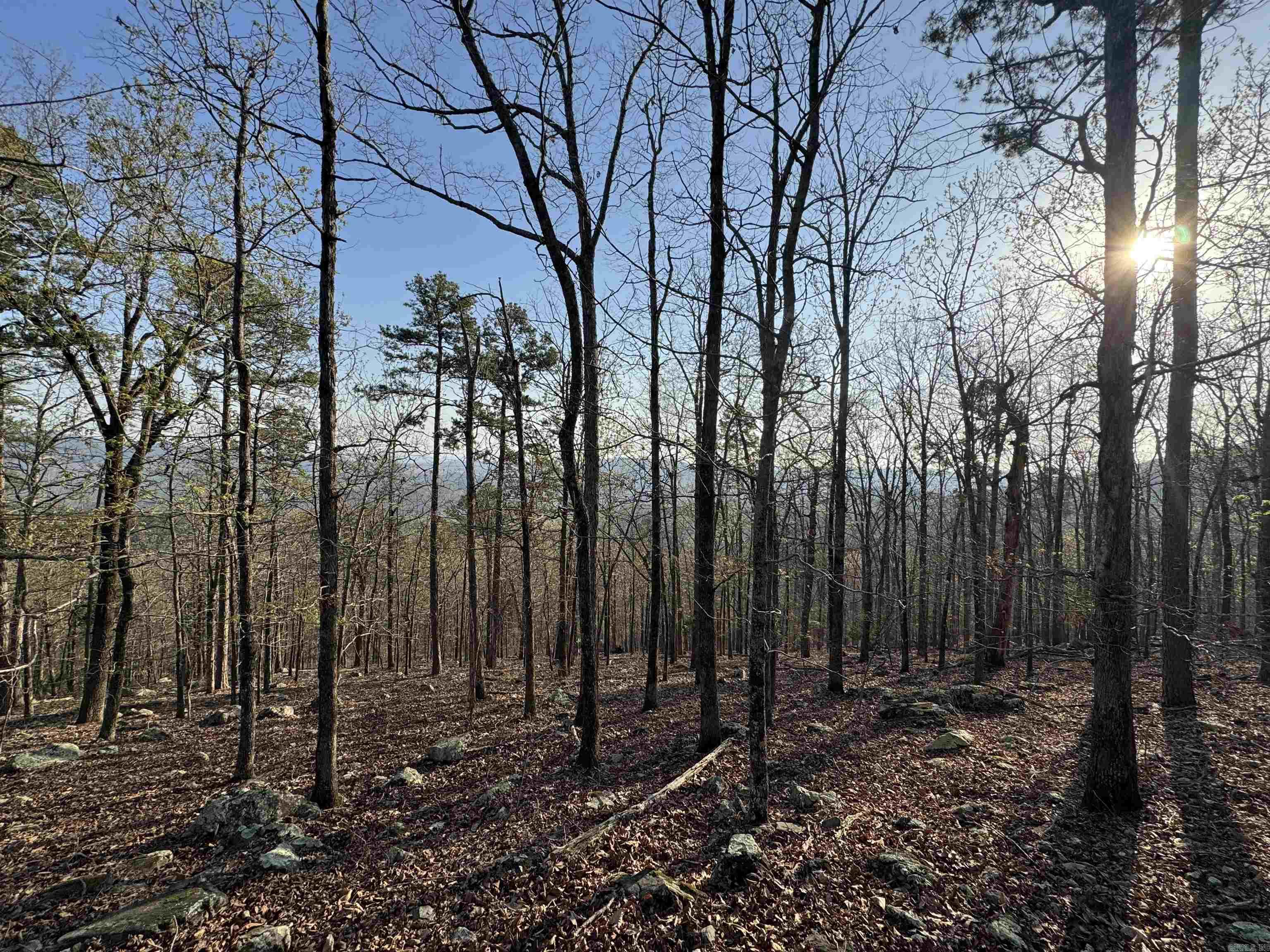 87 Jarandilla  Hot Springs Village, AR