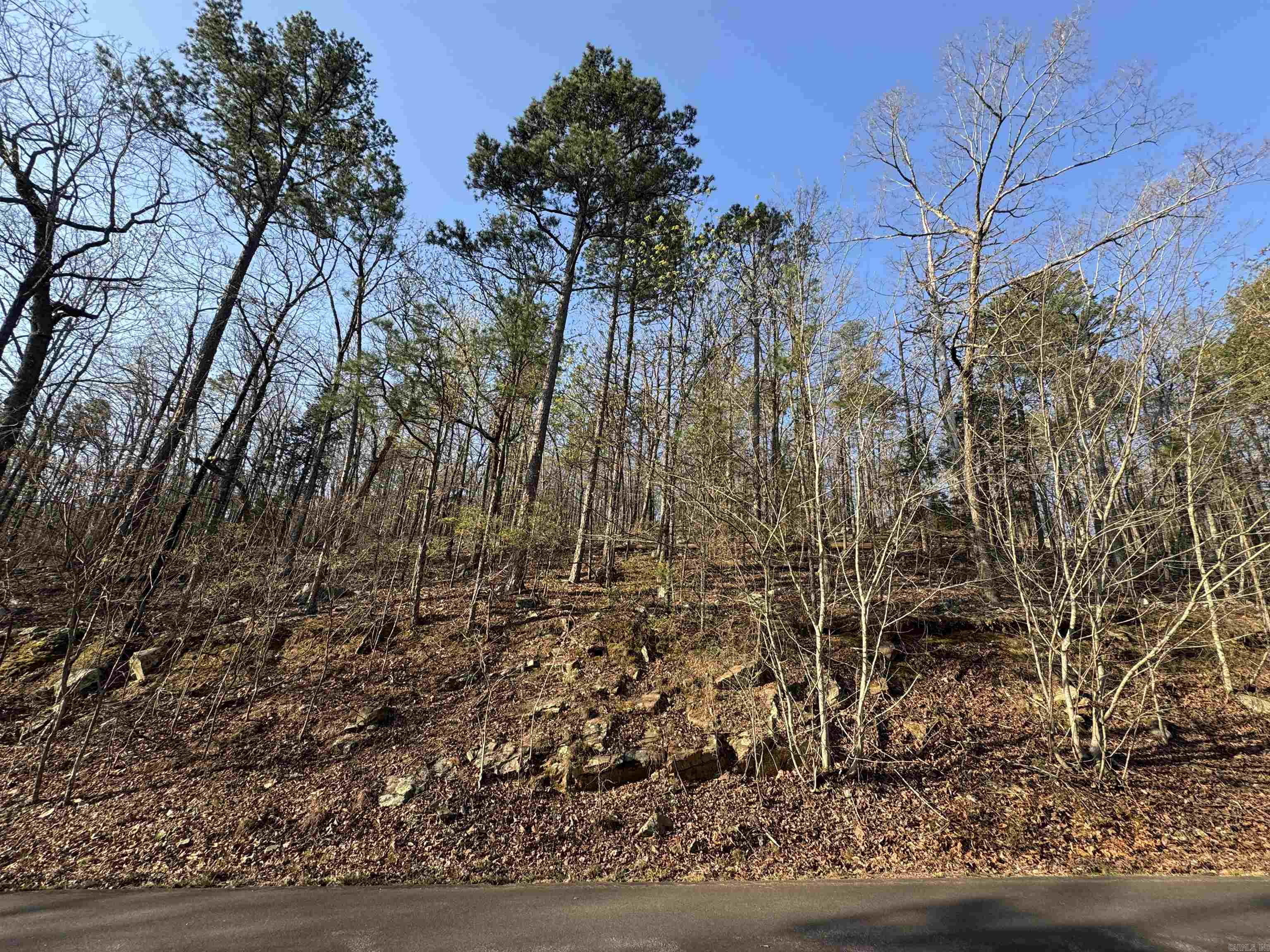 87 Jarandilla  Hot Springs Village, AR