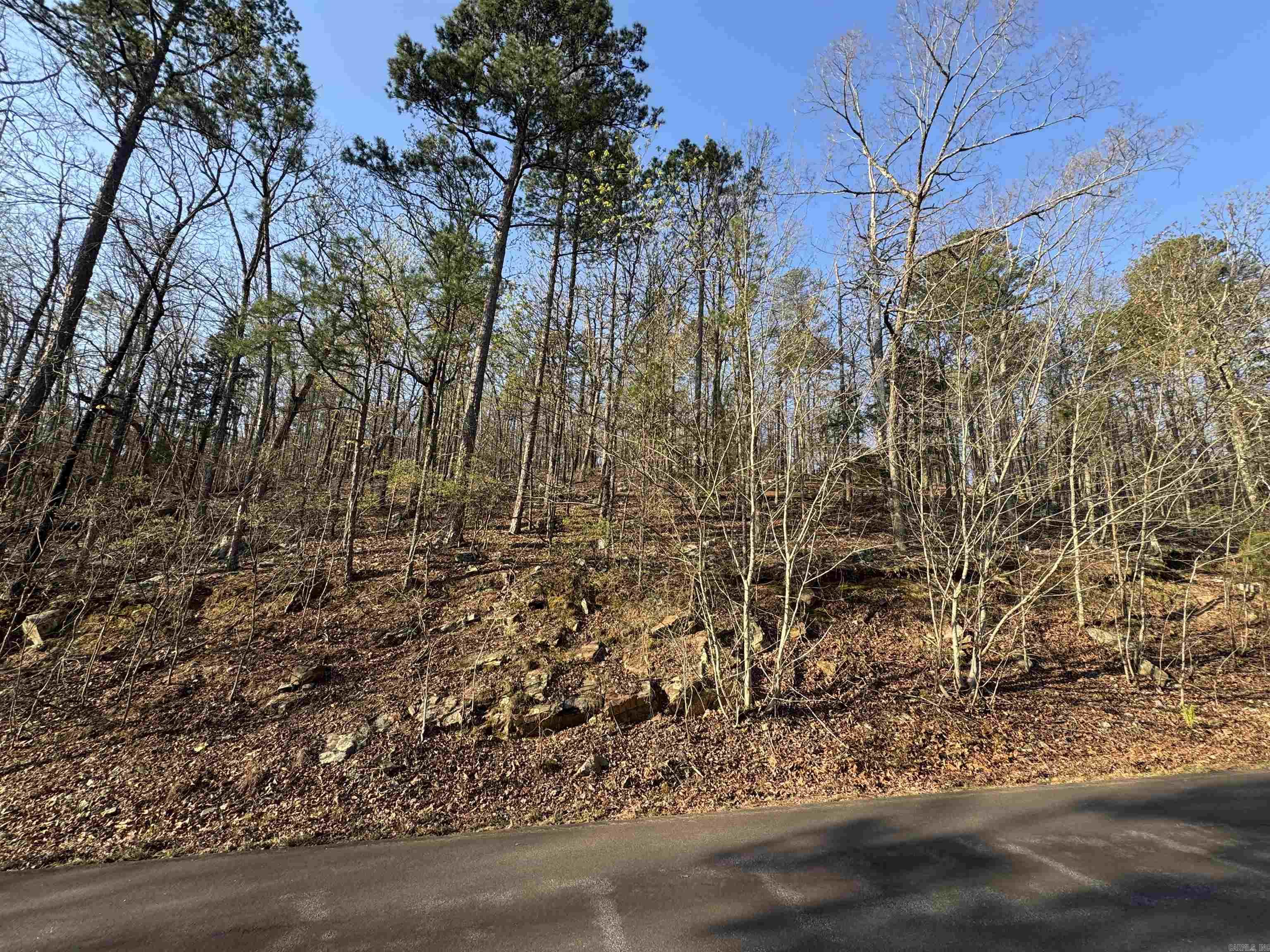 87 Jarandilla  Hot Springs Village, AR