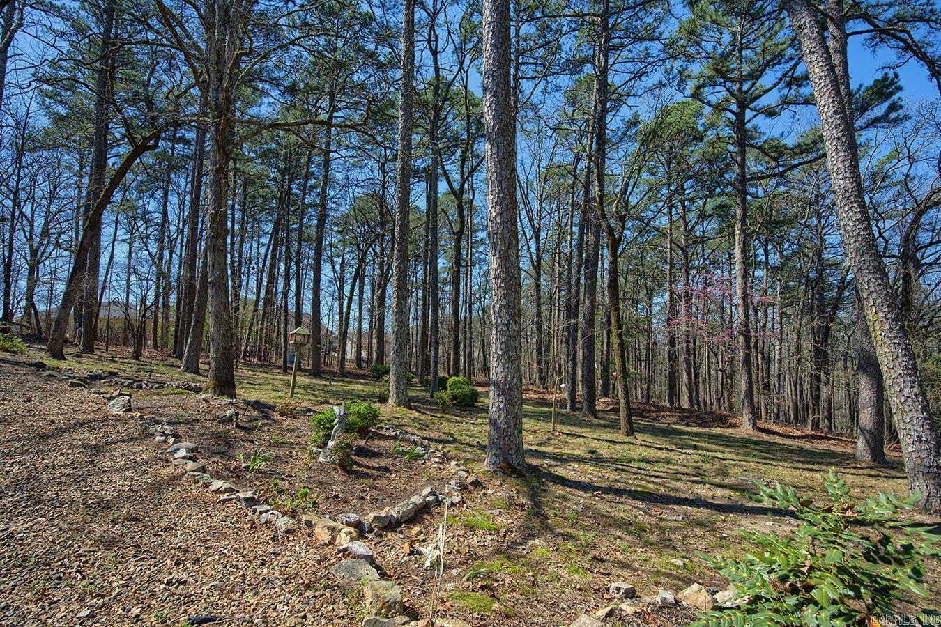 27 Murcia Way  Hot Springs Village, AR