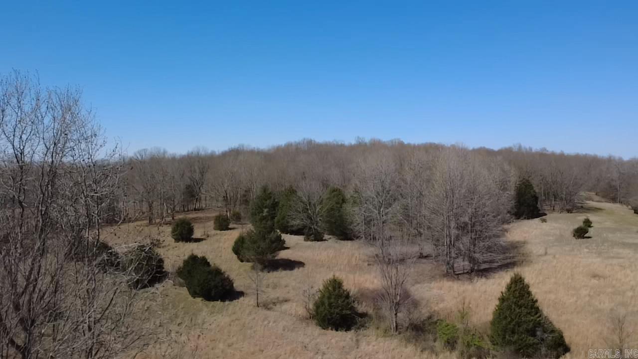 0000 402 Rd  Lafe, AR