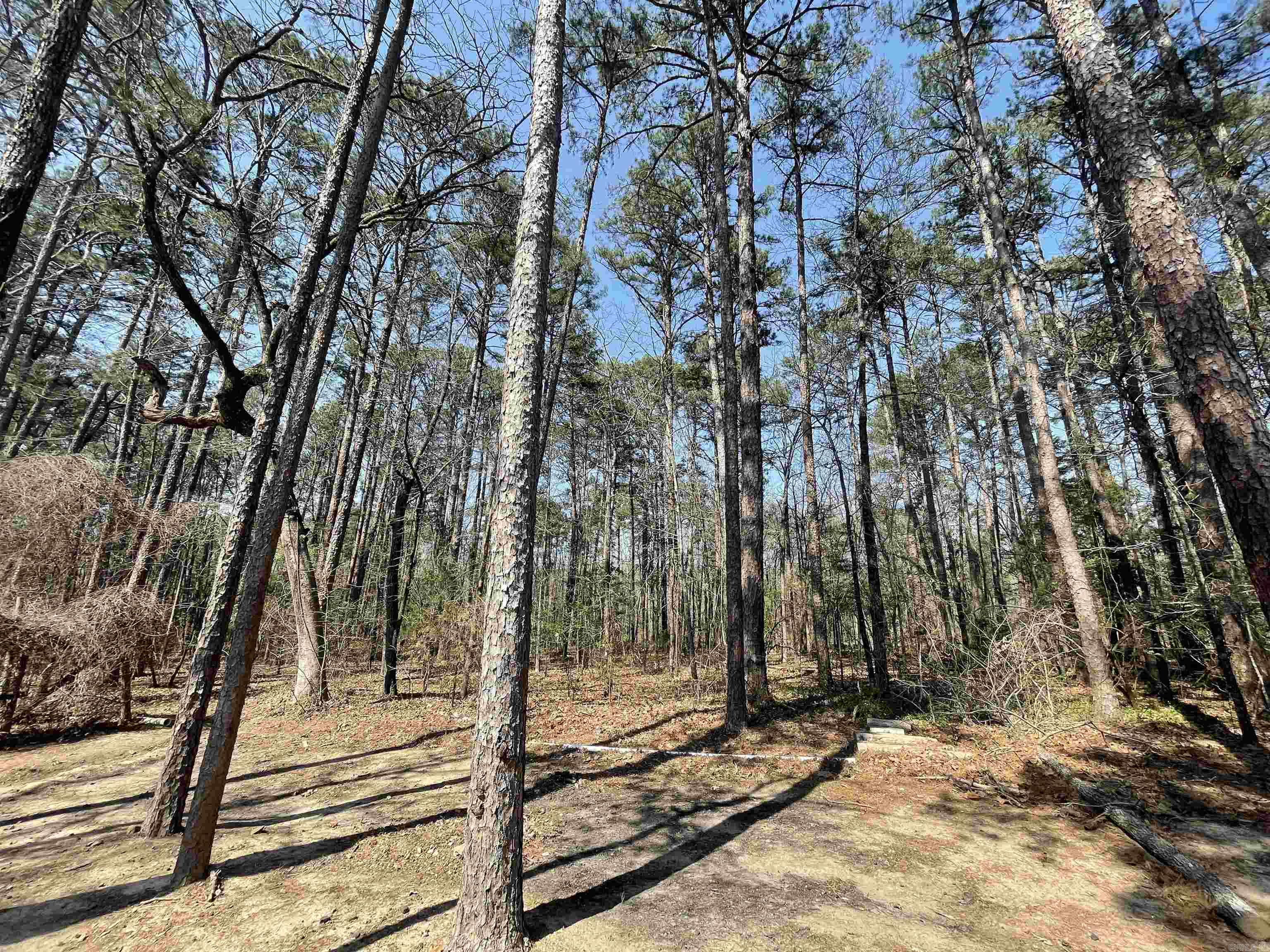 145 Howard Rd.  Higden, AR