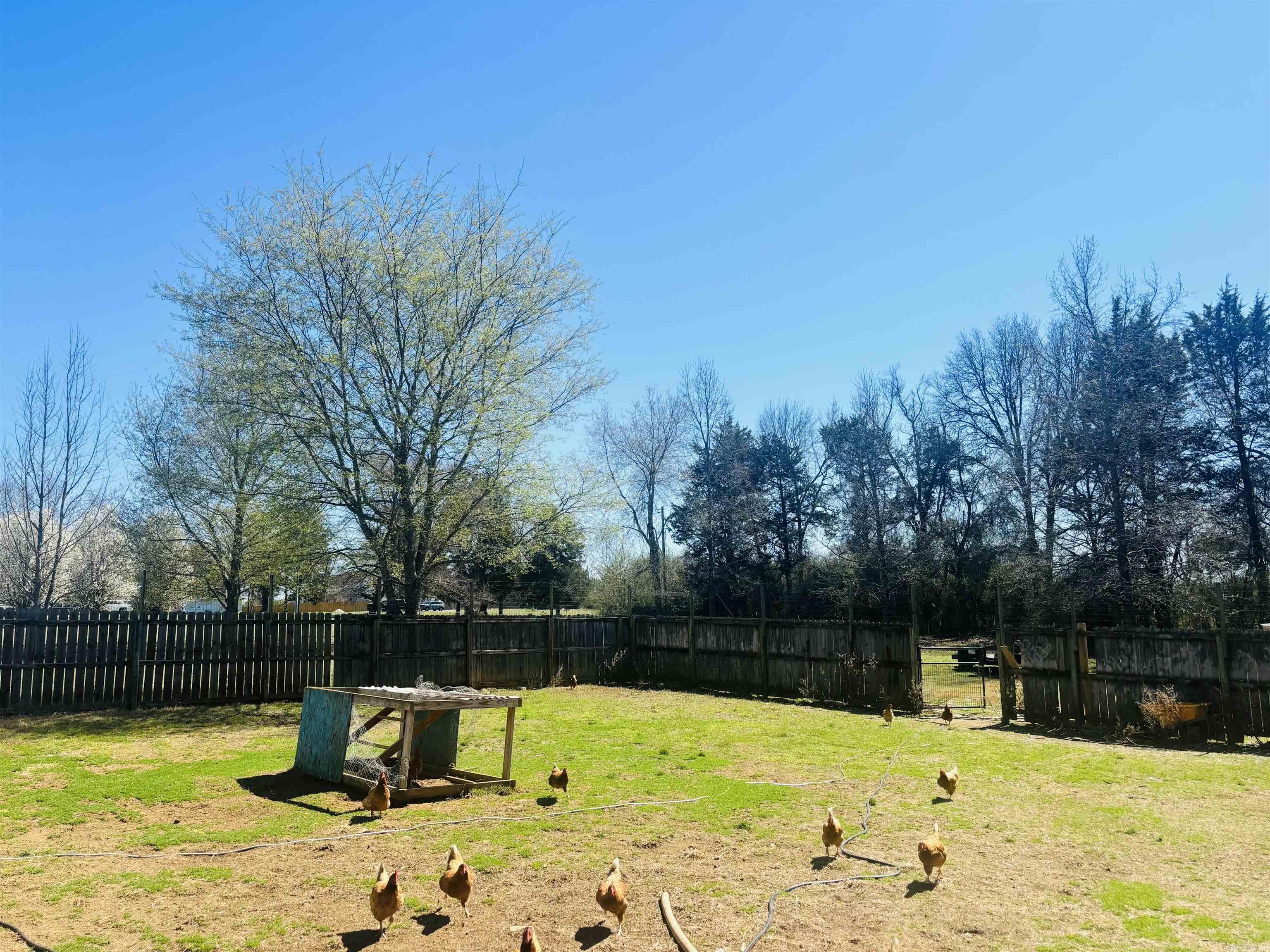 3 Dejarnett  Greenbrier, AR