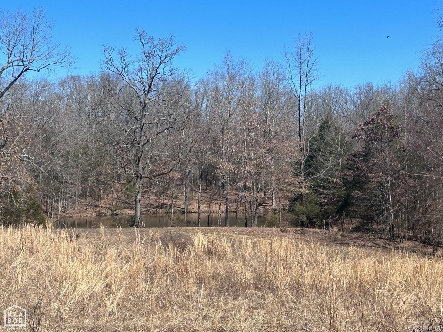 920 hwy 25  Strawberry, AR