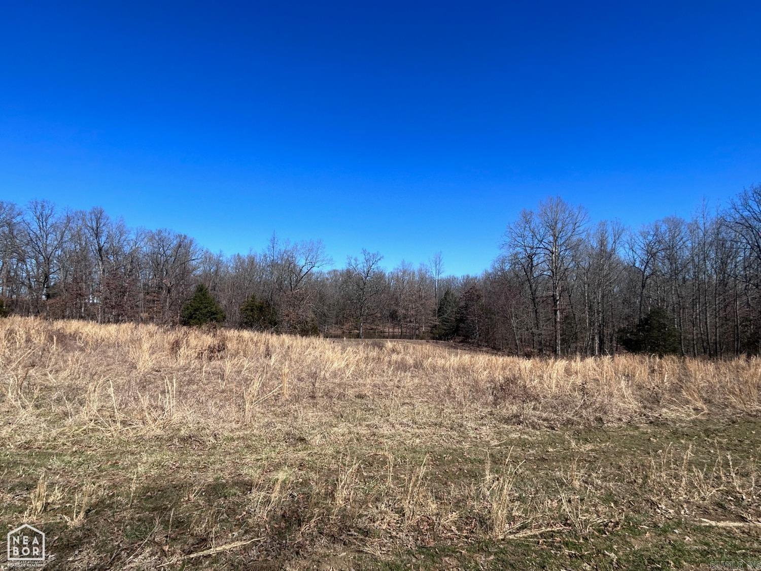 920 hwy 25  Strawberry, AR