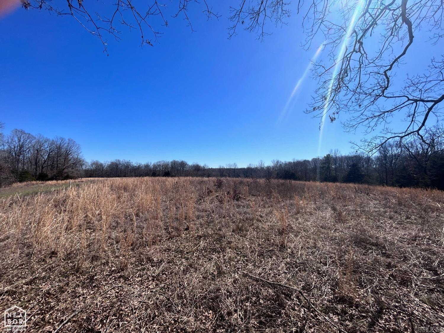 920 hwy 25  Strawberry, AR