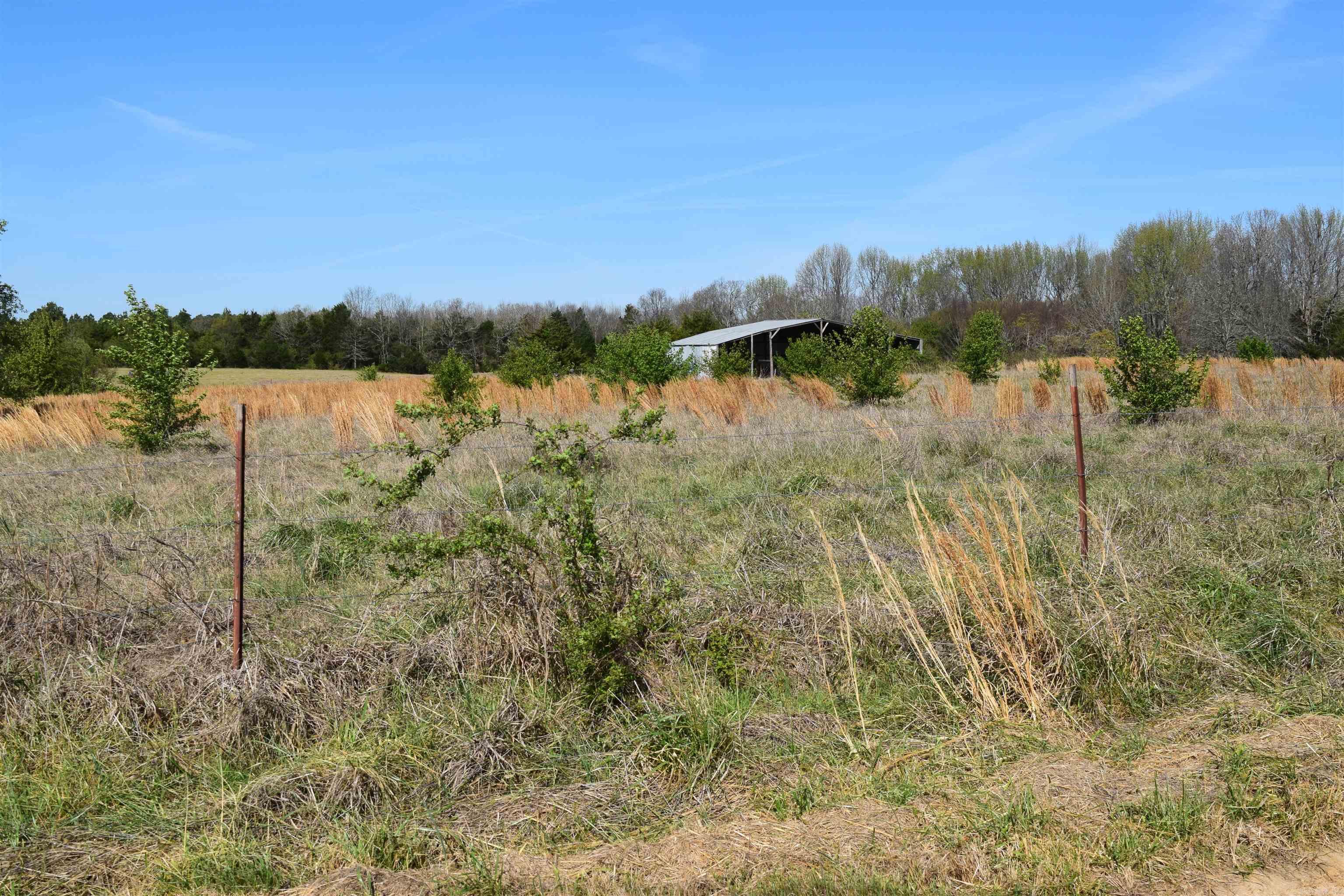 111 Suviaz  Bald Knob, AR