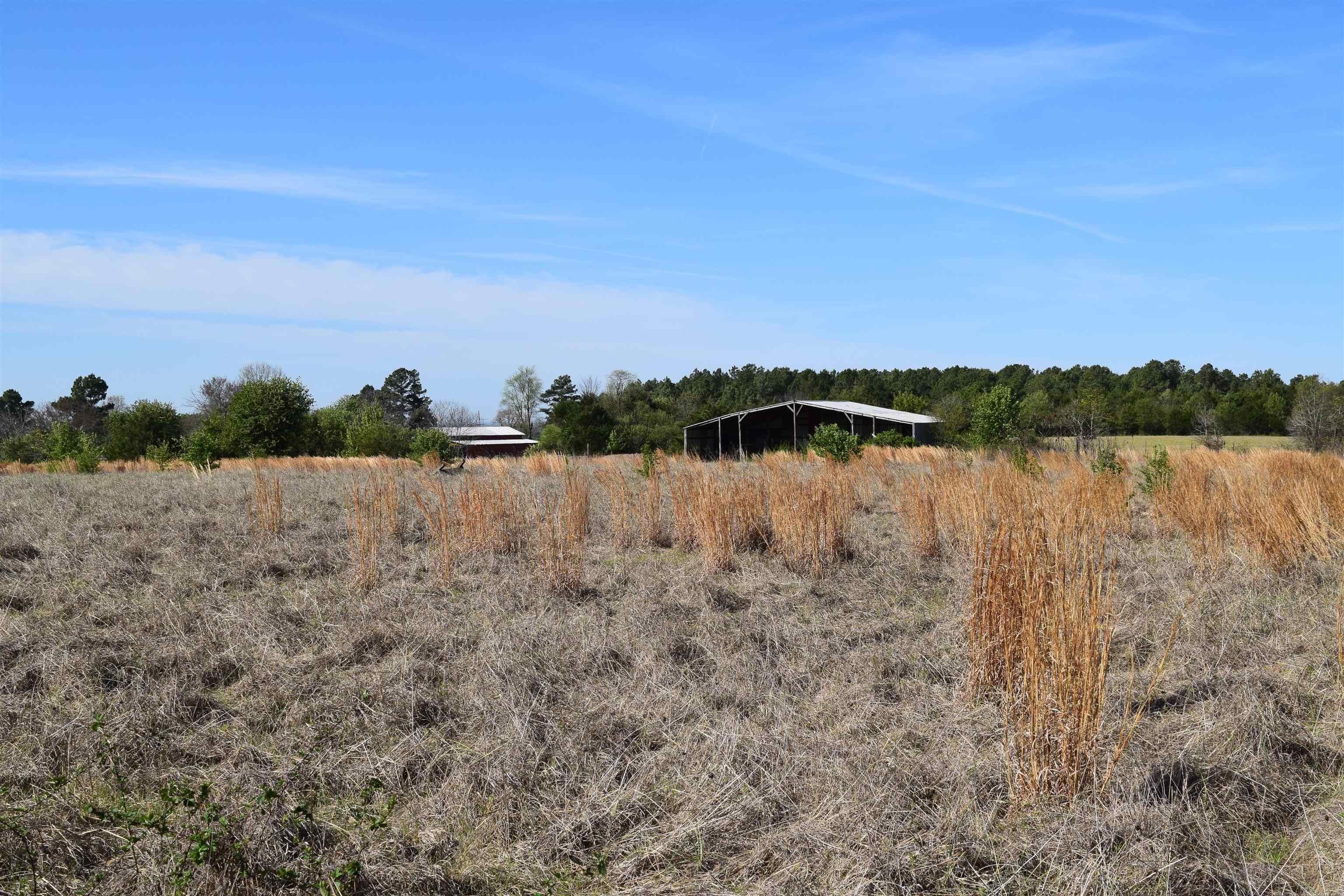 111 Suviaz  Bald Knob, AR