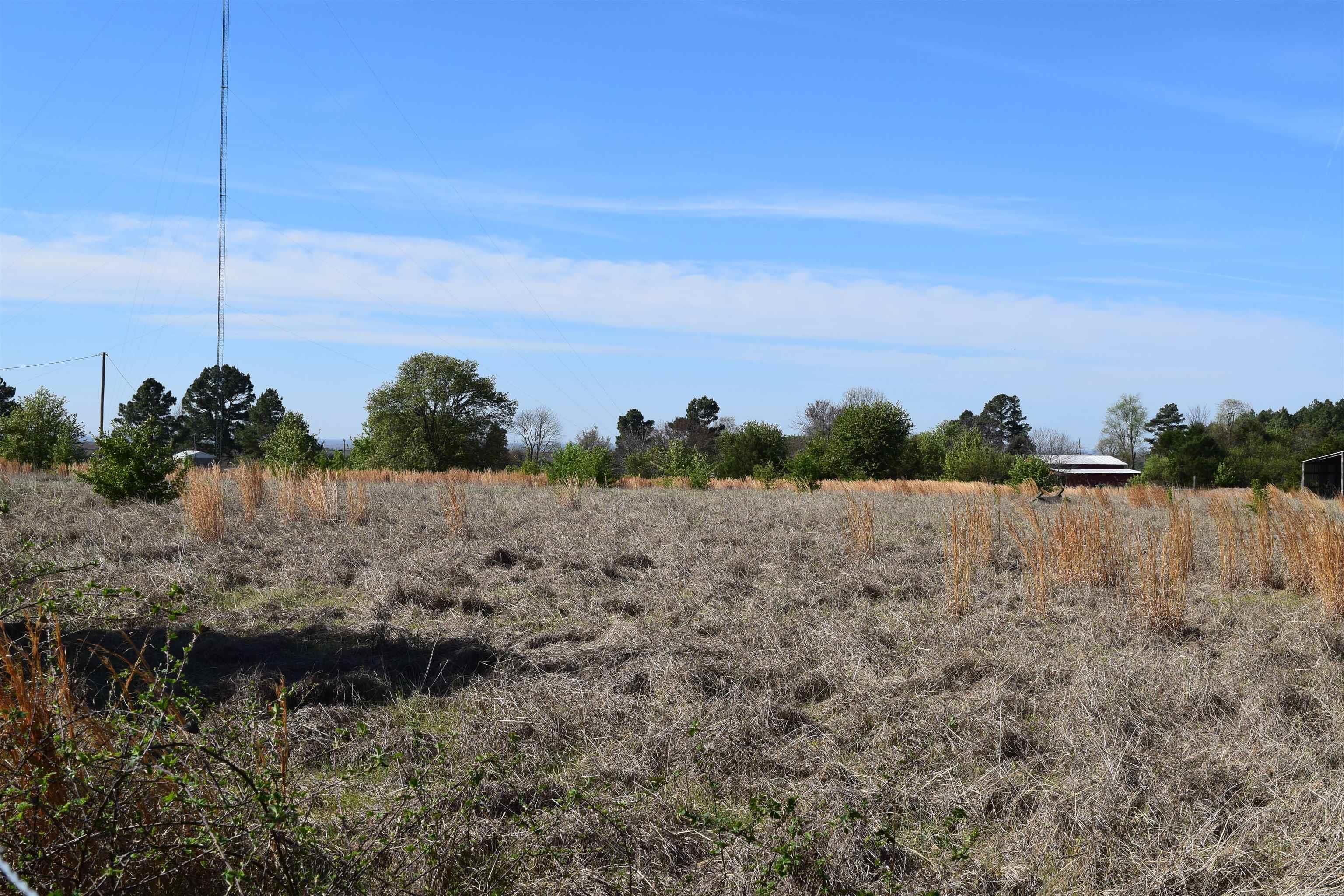 111 Suviaz  Bald Knob, AR