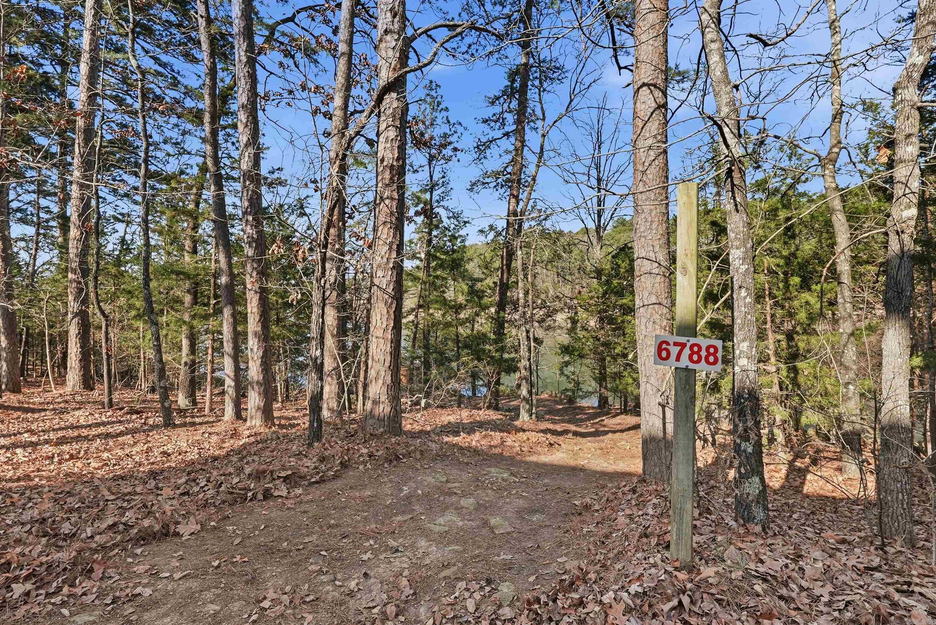 1030 Diamond Head Road  Drasco, AR