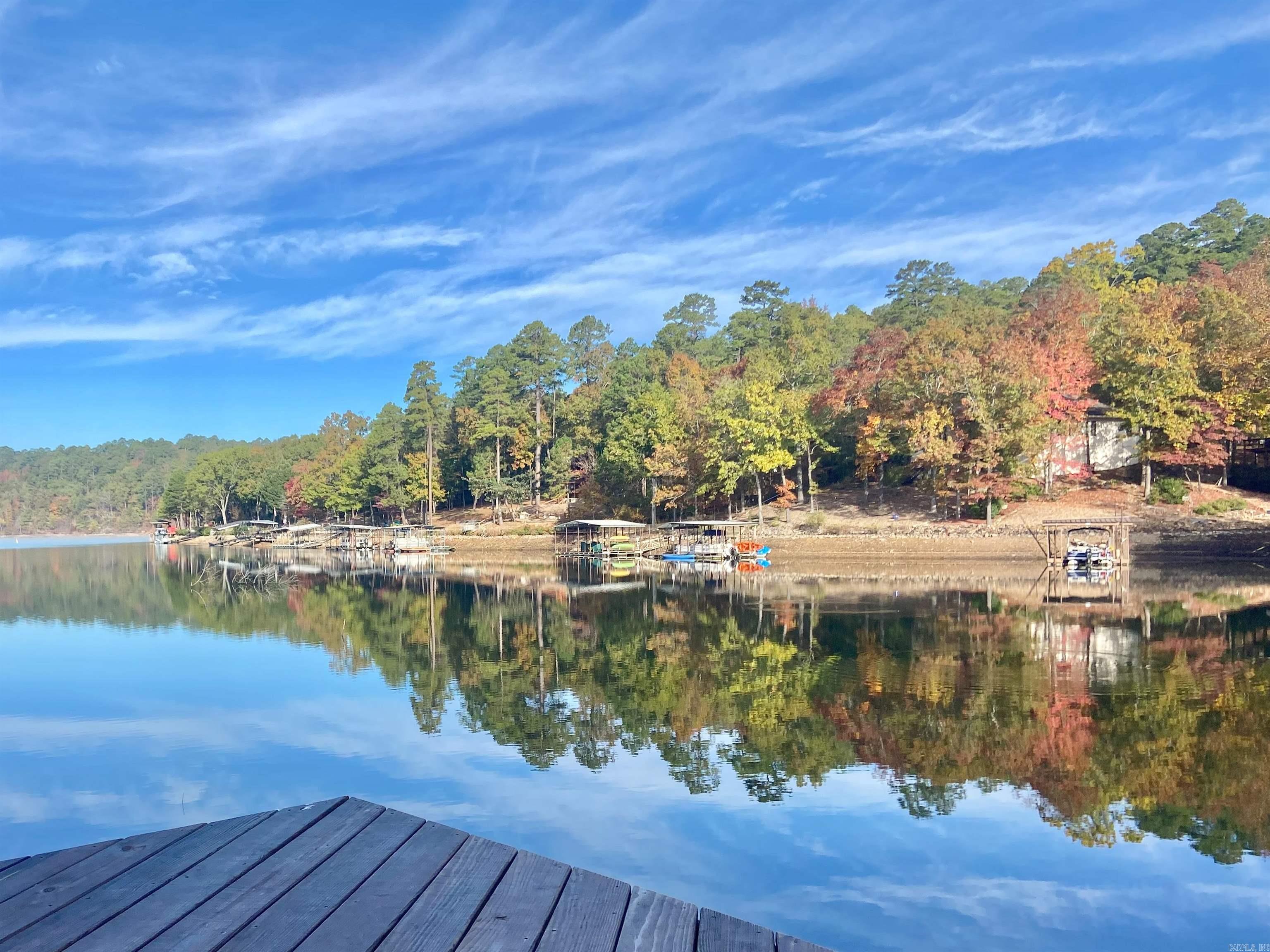 12 DelavEga  Hot Springs Village, AR