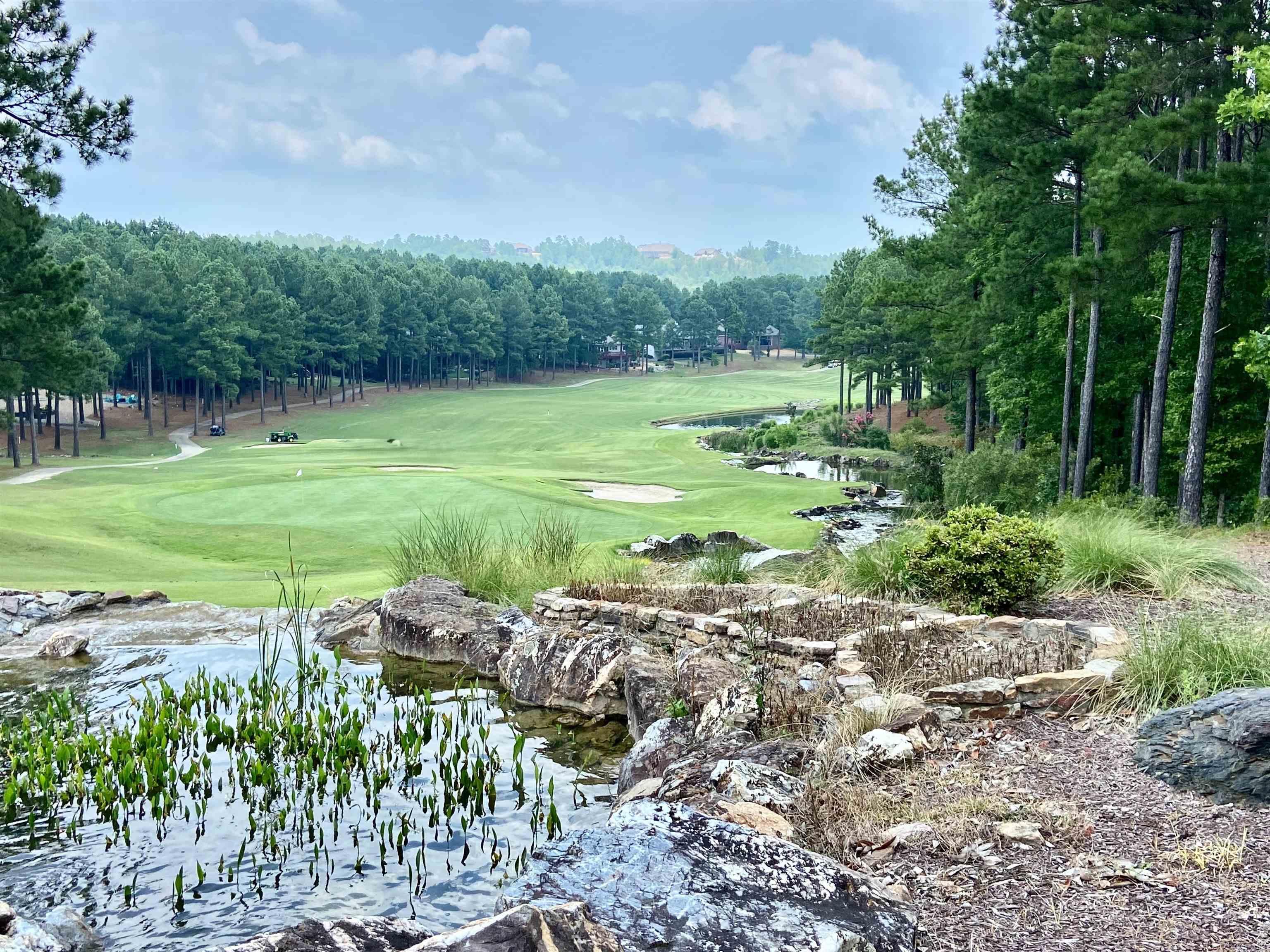 12 DelavEga  Hot Springs Village, AR