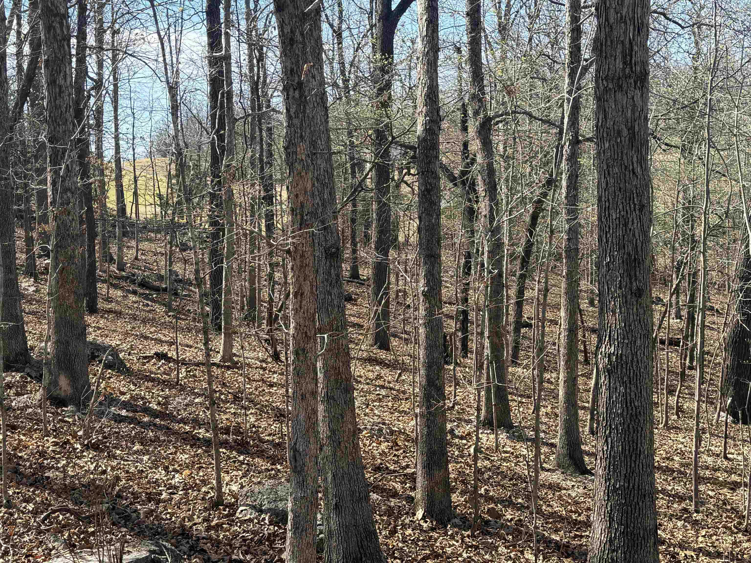 TBD Spokane  Cherokee Village, AR