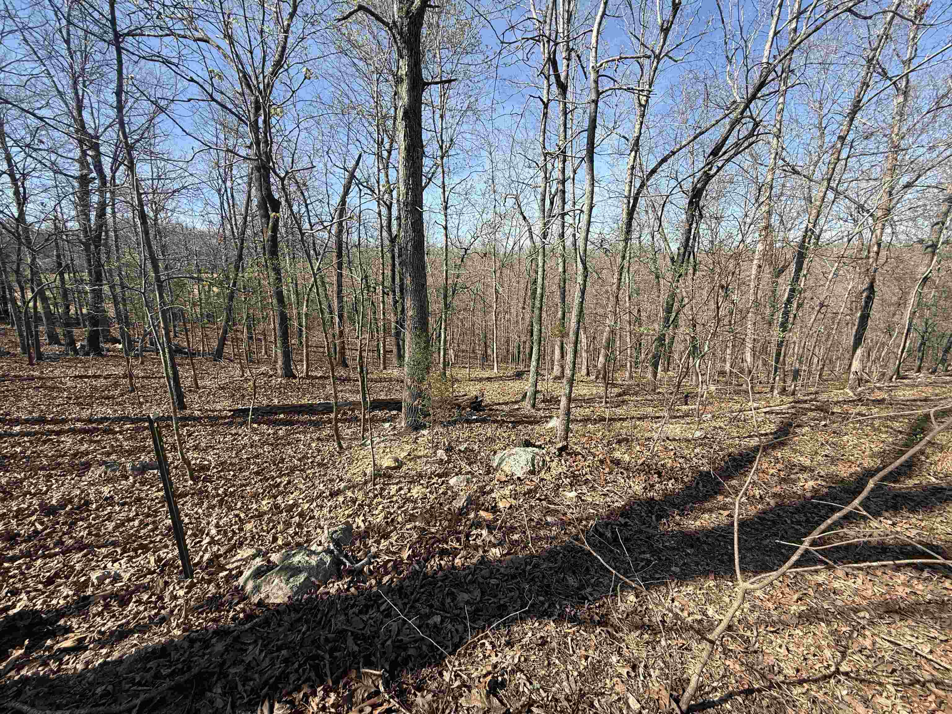 TBD Spokane  Cherokee Village, AR