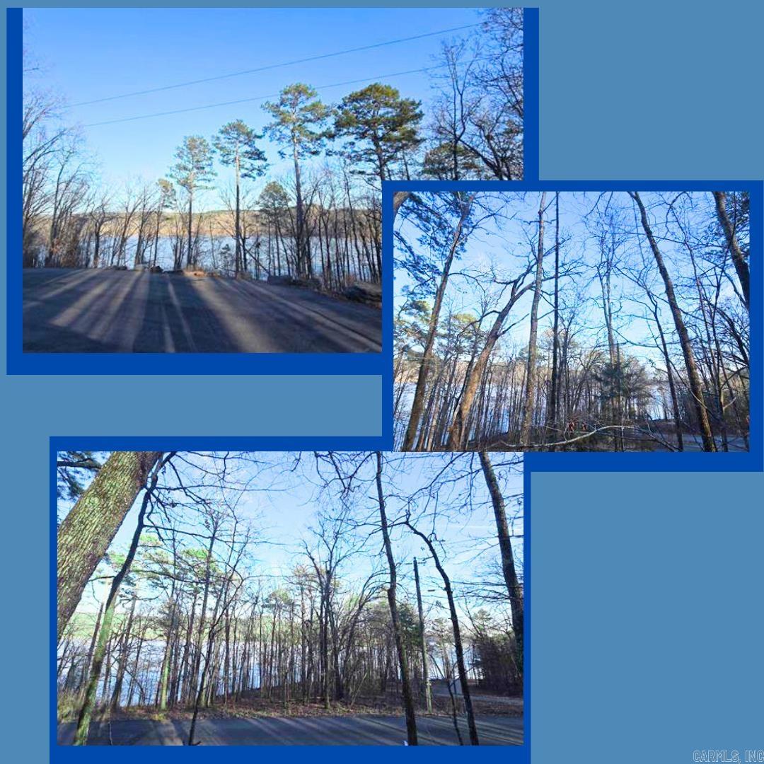 Lot 66 Lower Ridge  Edgemont, AR