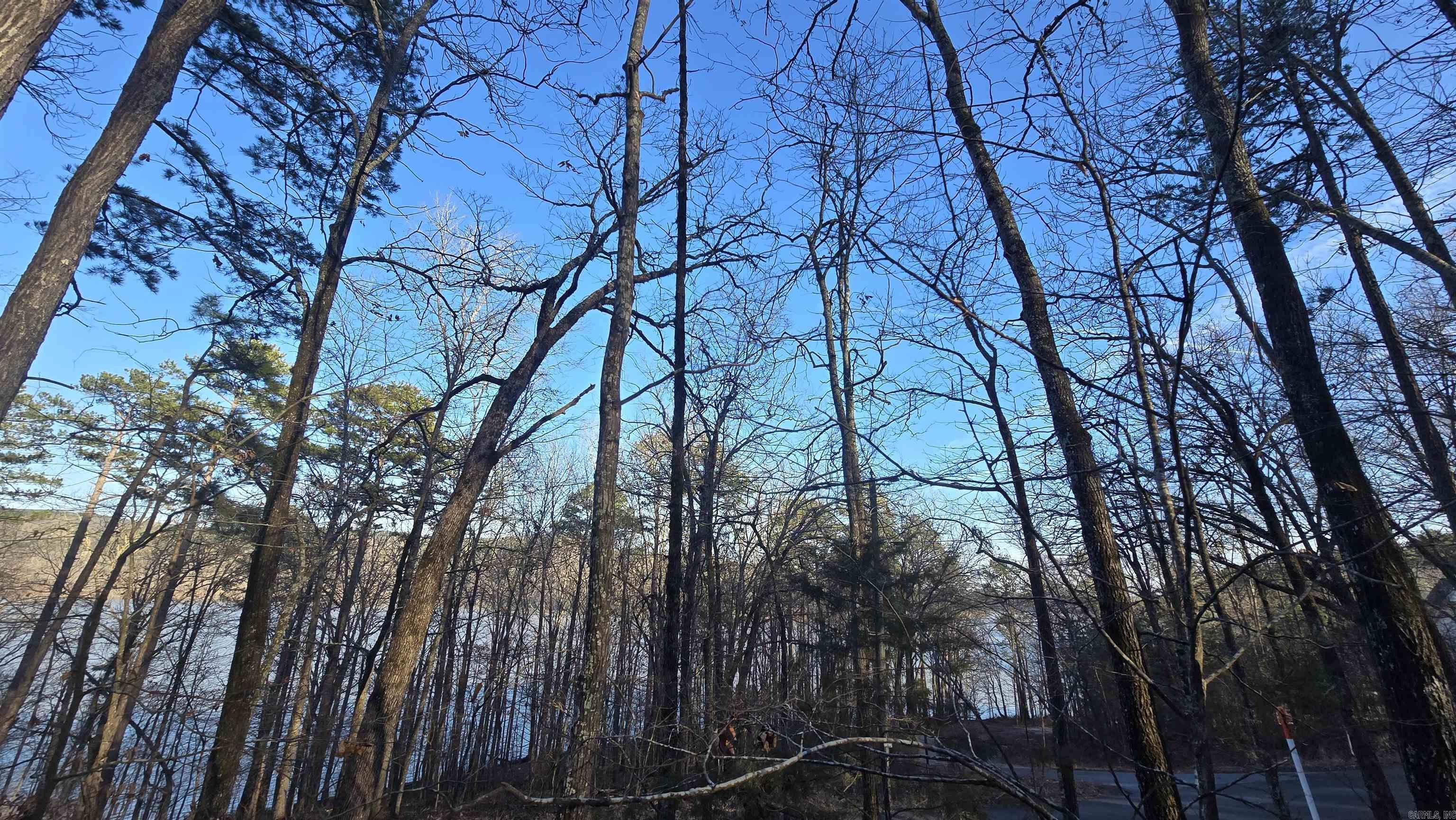 Lot 66 Lower Ridge  Edgemont, AR