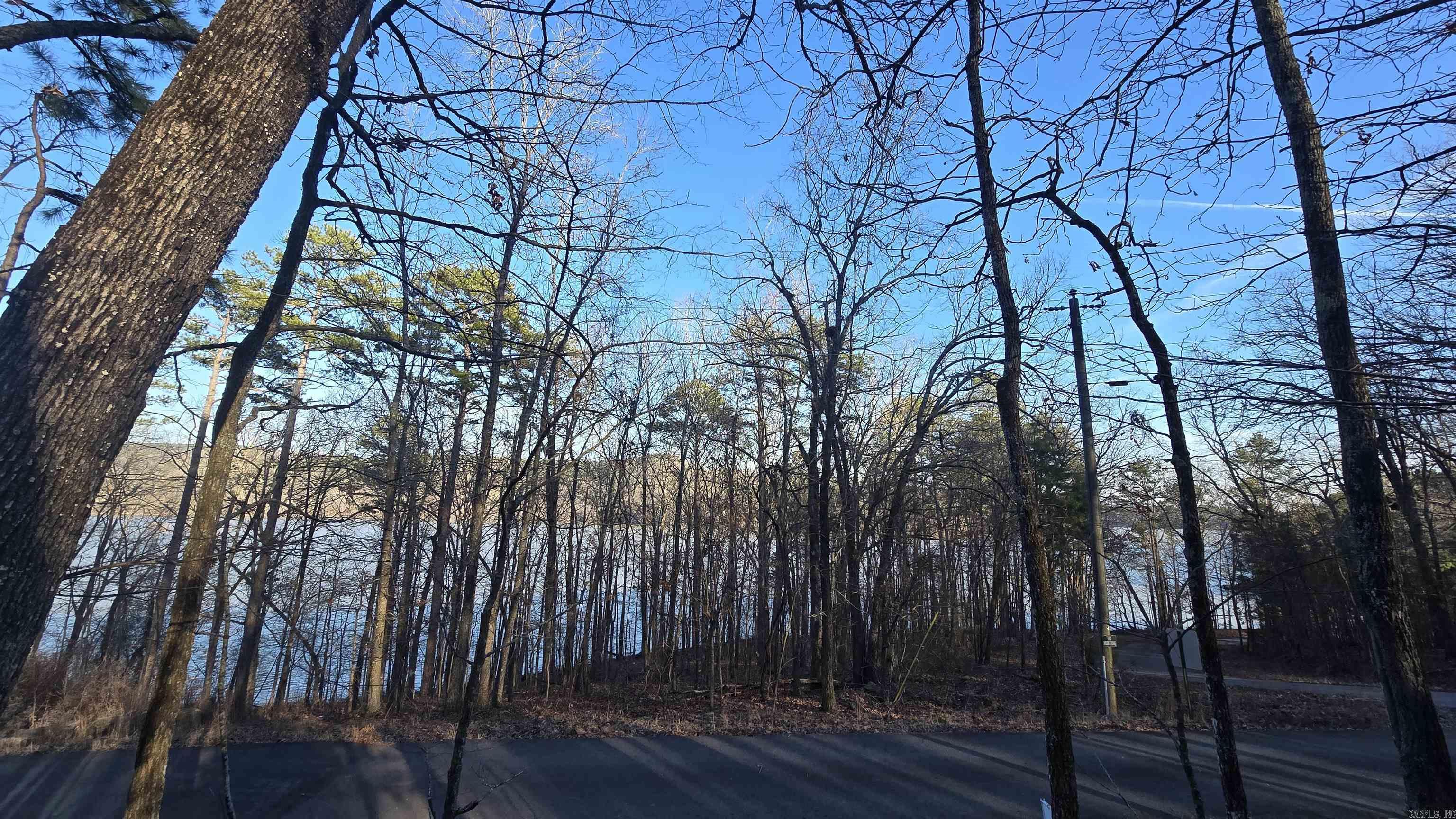 Lot 66 Lower Ridge  Edgemont, AR