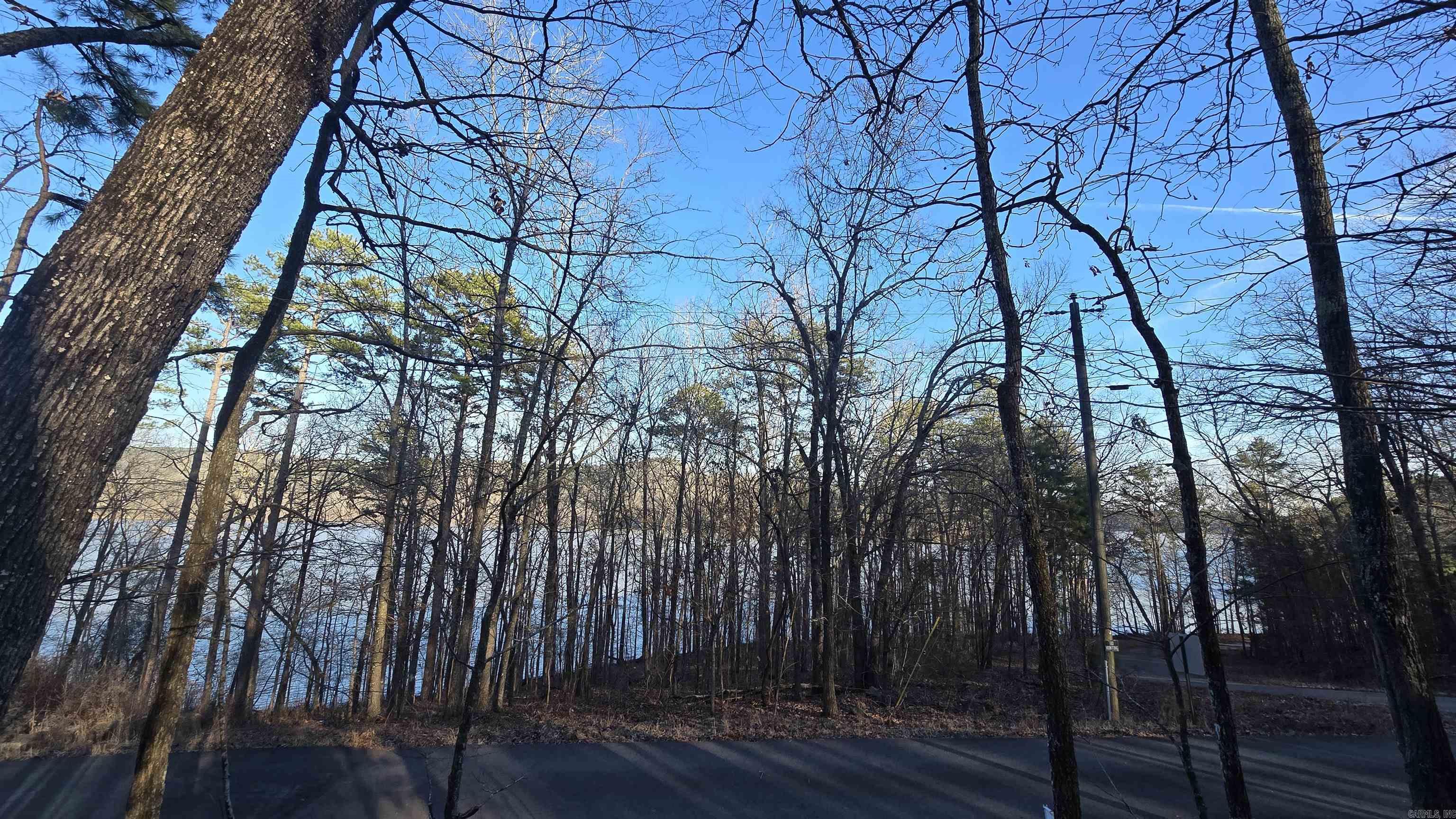 Lot 66 Lower Ridge  Edgemont, AR