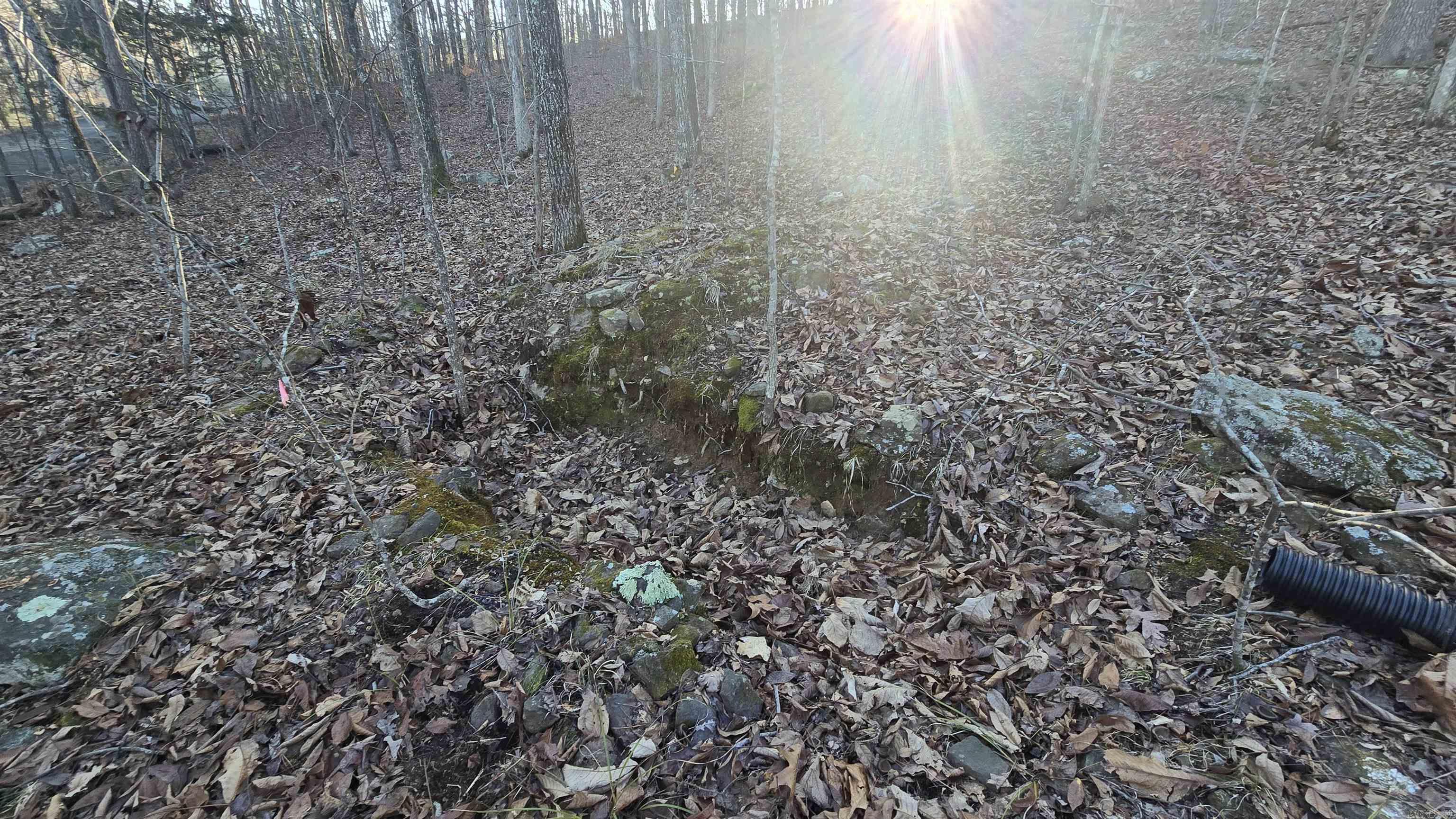 Lot 66 Lower Ridge  Edgemont, AR
