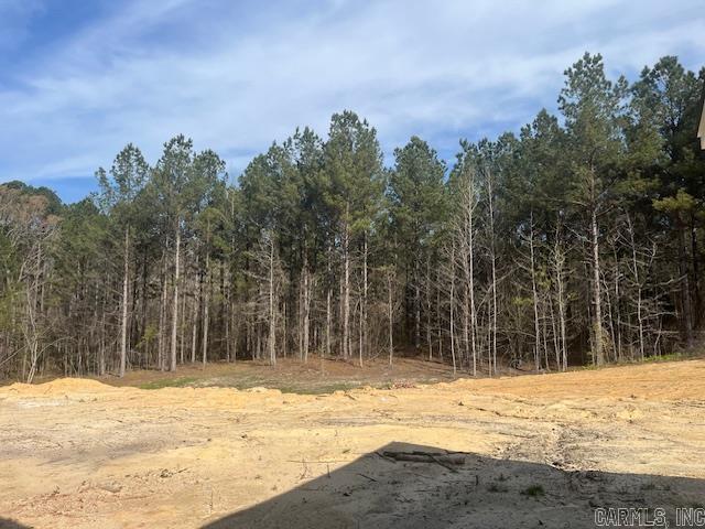 9635 Perry  Bauxite, AR