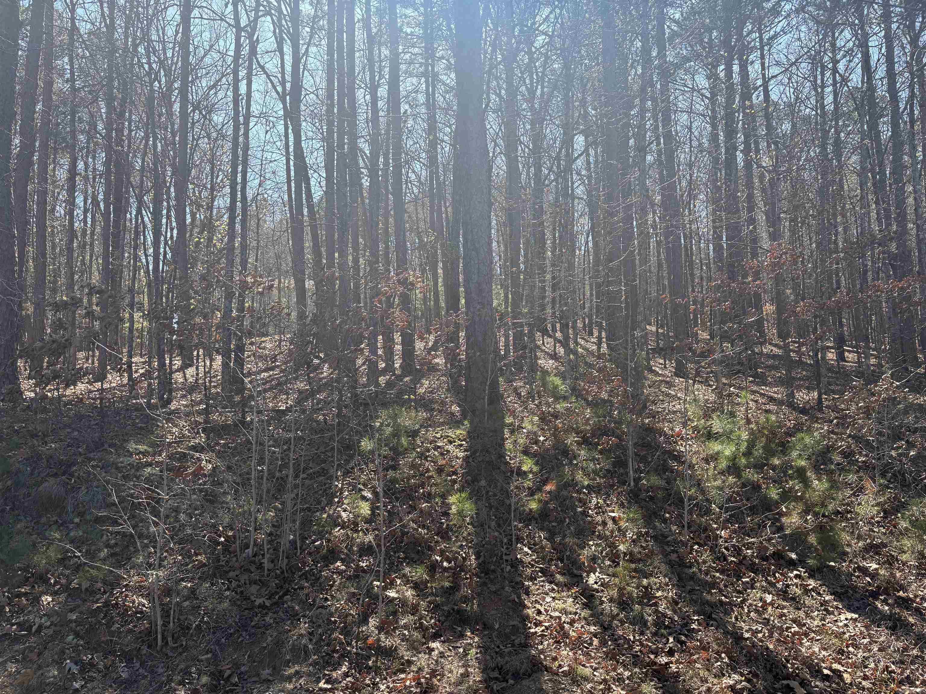 Lot 617 Block 1 Lakeside  Fairfield Bay, AR