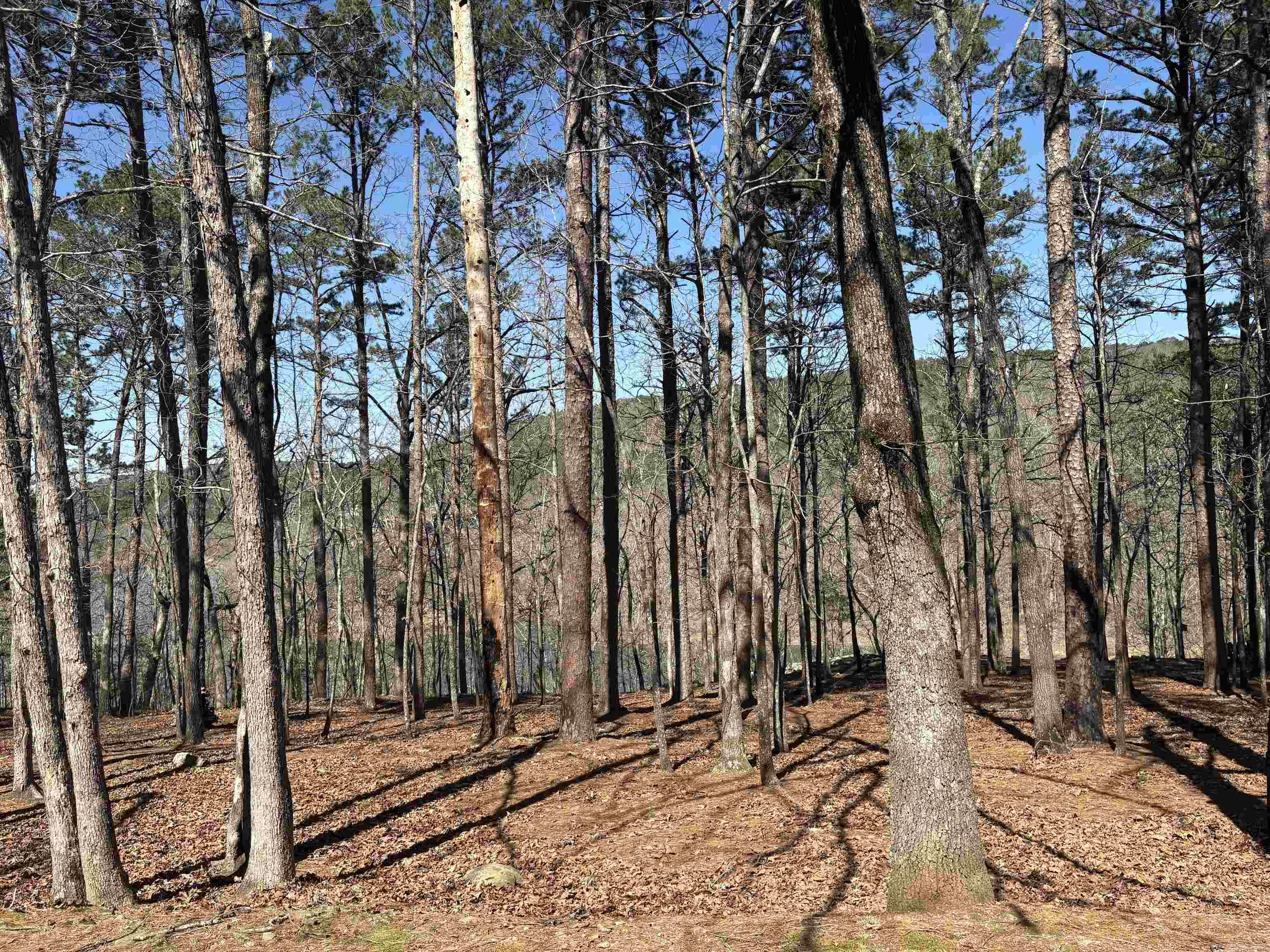 Lot 617 Block 1 Lakeside  Fairfield Bay, AR