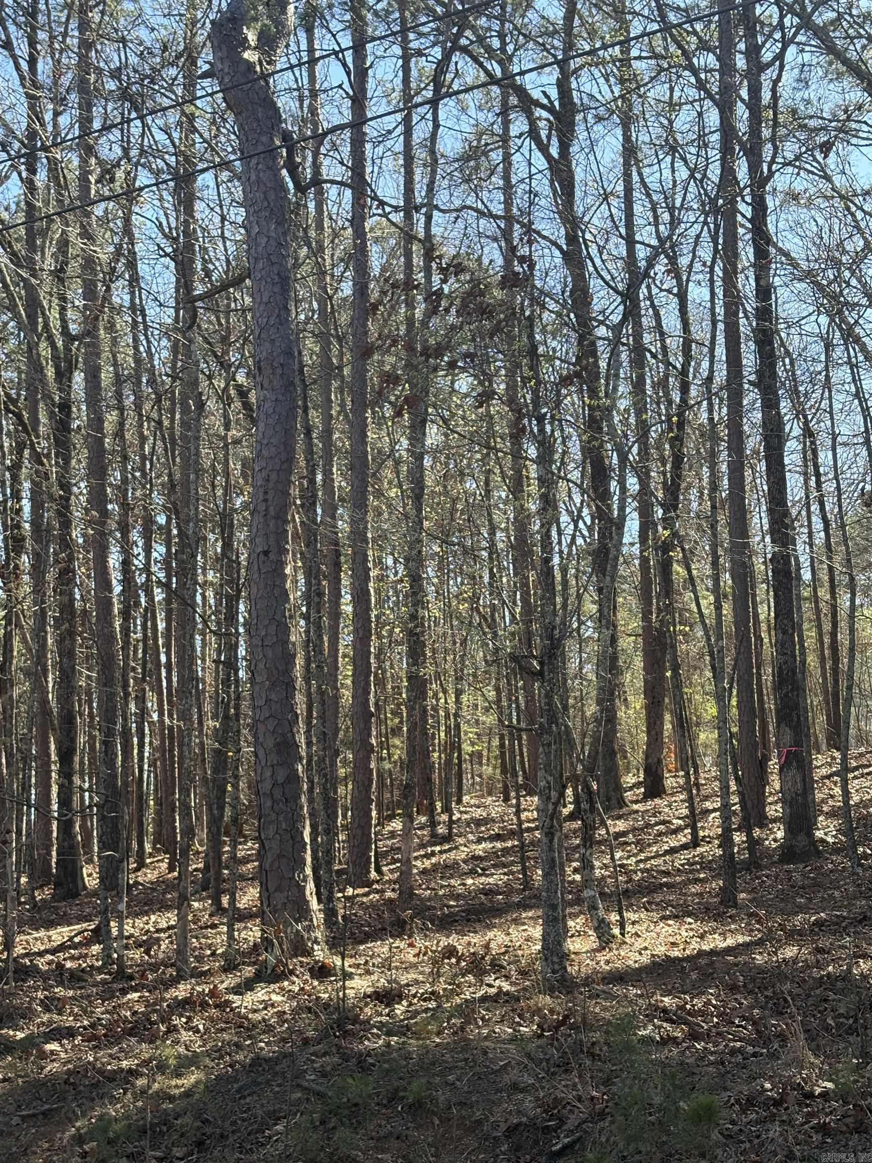 Lot 617 Block 1 Lakeside  Fairfield Bay, AR