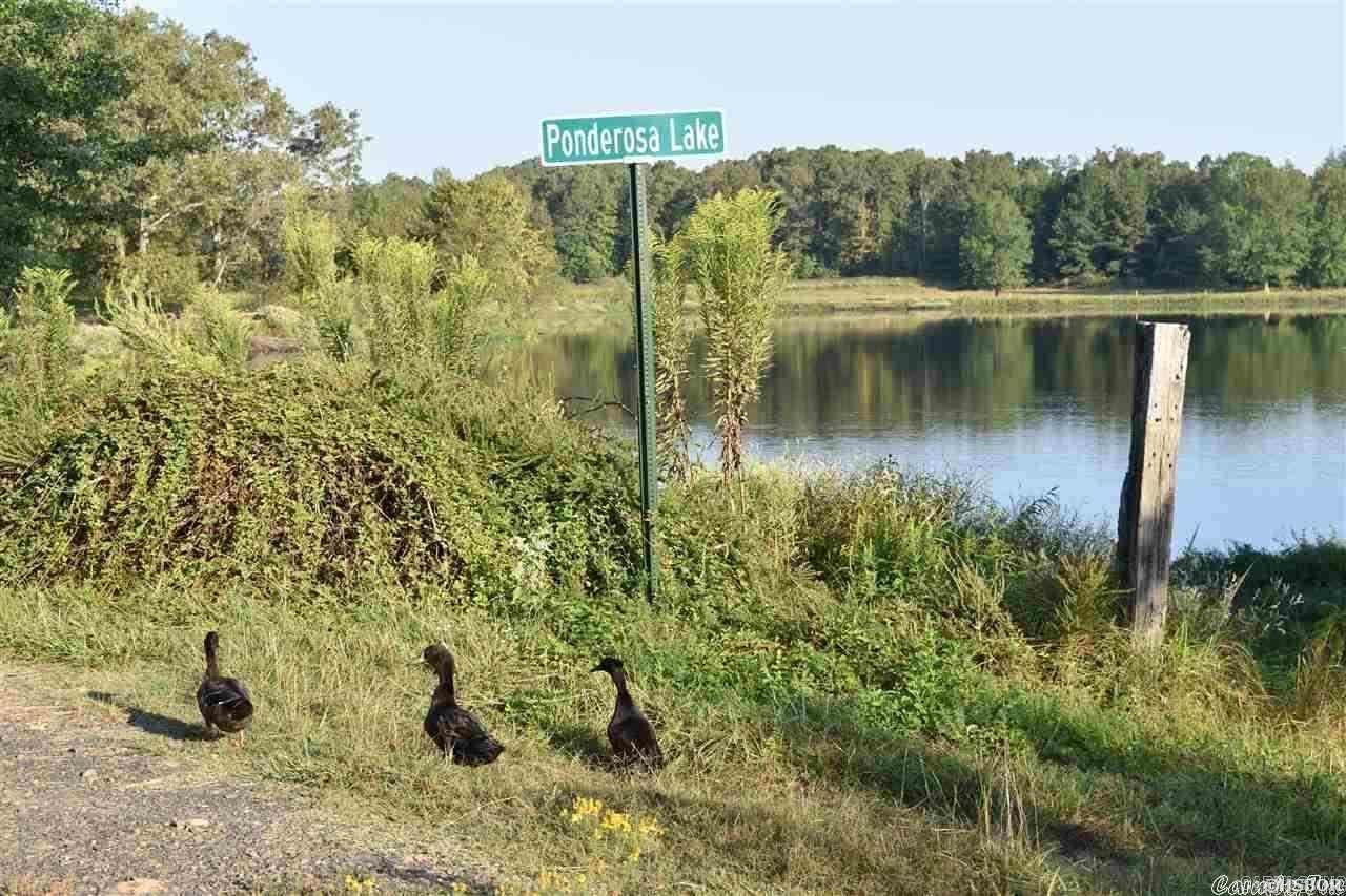 000 PONDEROSA  Bismarck, AR