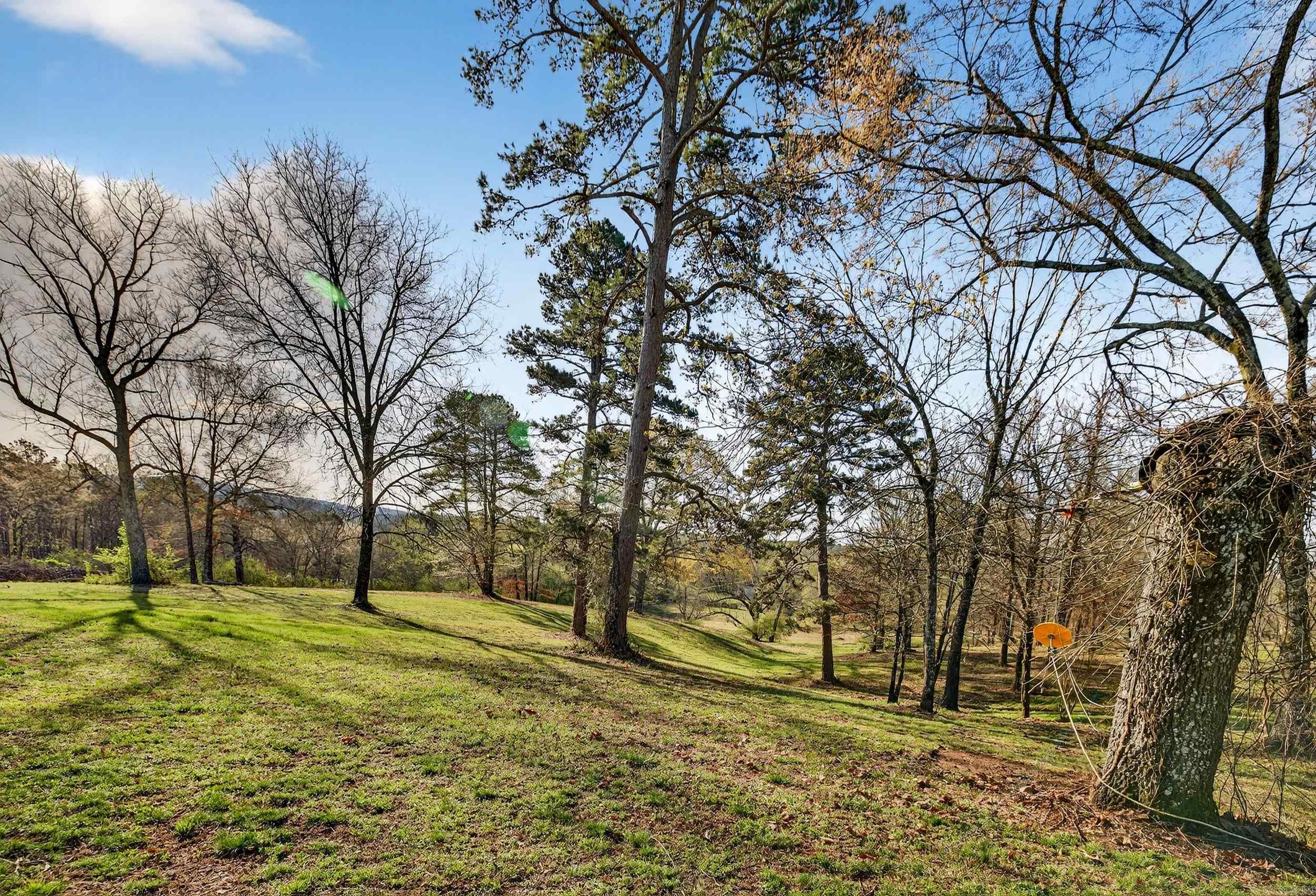 1377 Cones  Hot Springs, AR